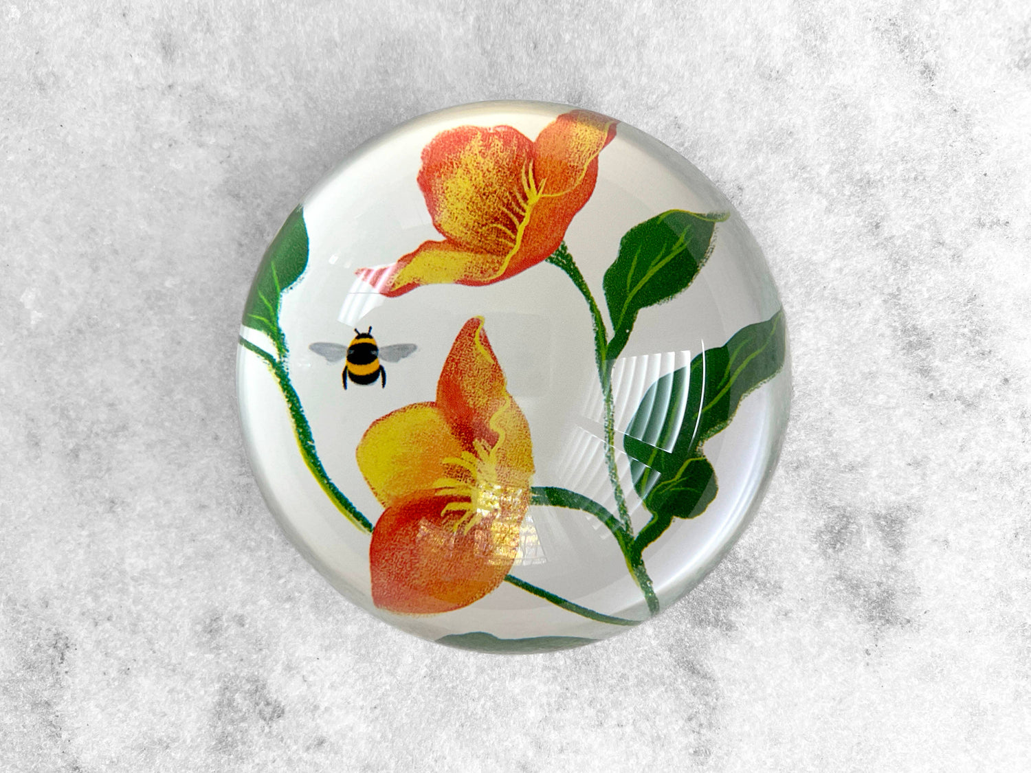 Glass Dome Paperweight