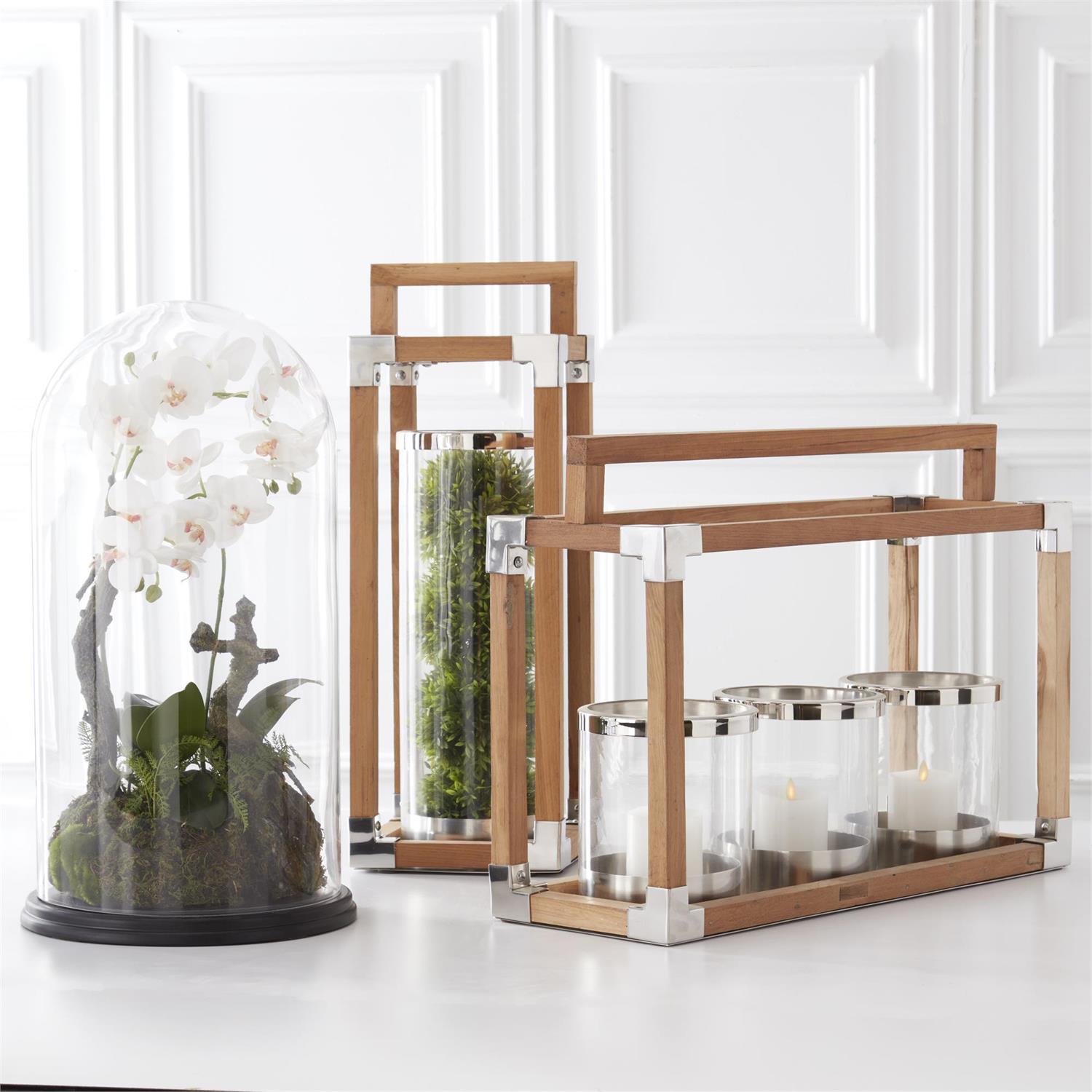 6-Inch Podocarpus Ball