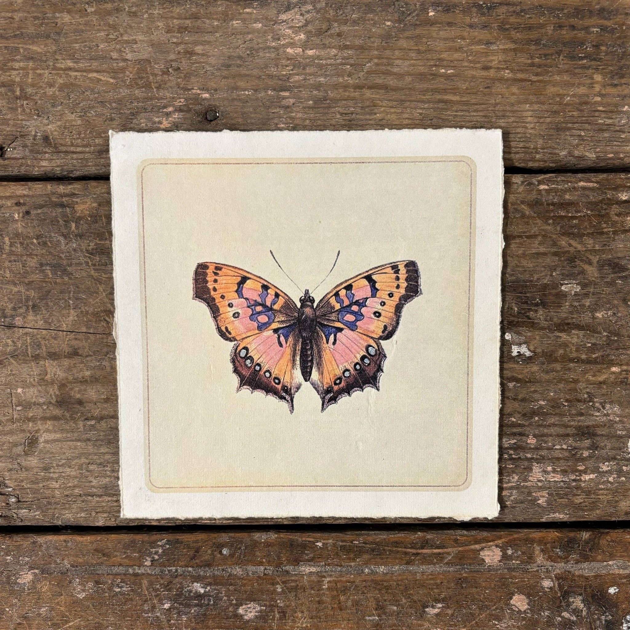 8"x8" Pink Butterfly - Flora & Fauna Collection