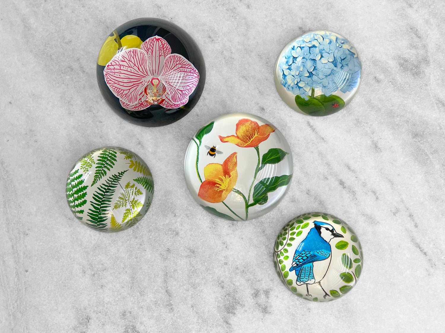 Glass Dome Paperweight