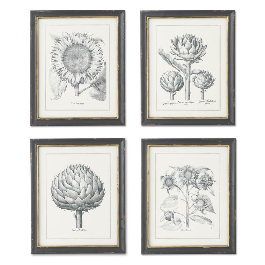 Assorted 22" Black and Gold Framed Sunflower and Artichoke Prints