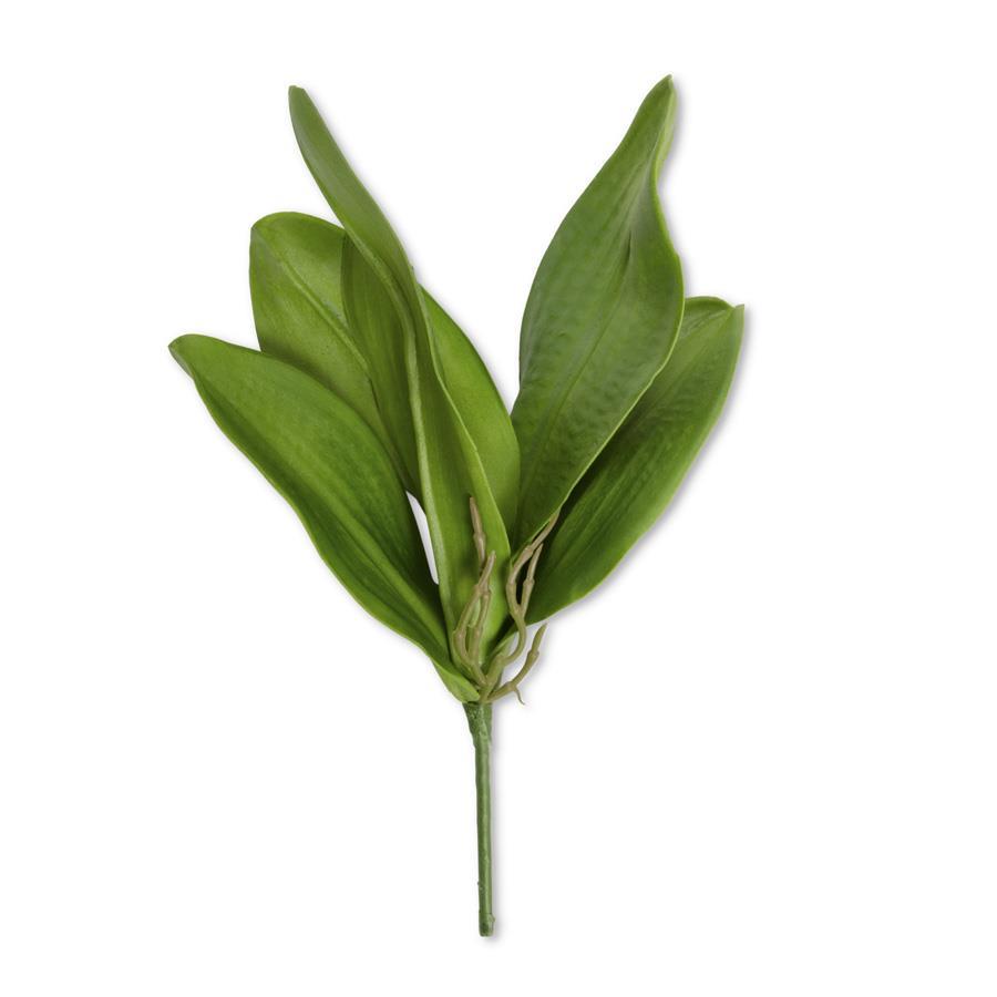 13-Inch Real Touch 5 Orchid Leaves Stem