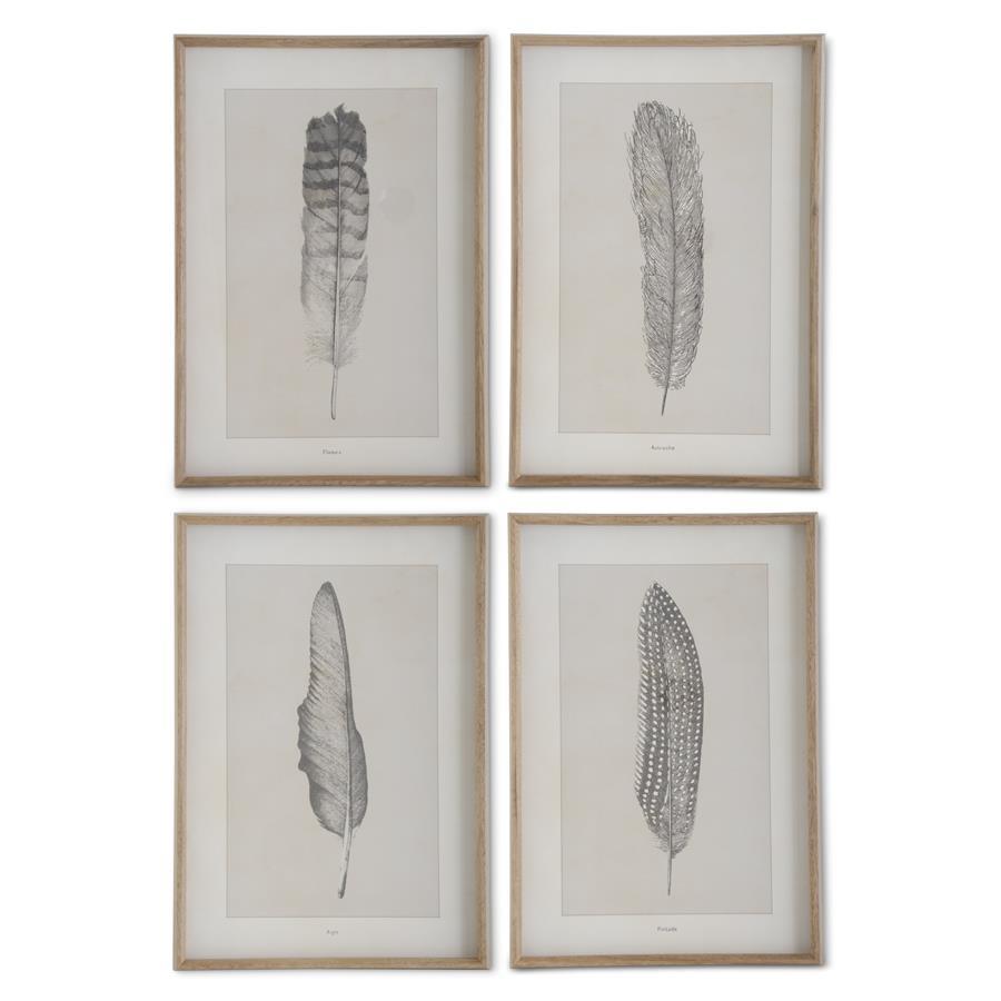 Assorted 25.5-Inch Wood-Framed Feather Prints (4 Styles)