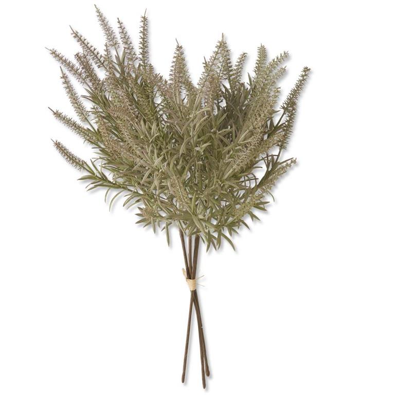 17.5-Inch Light Green Lavender Bundle (3 Stems)