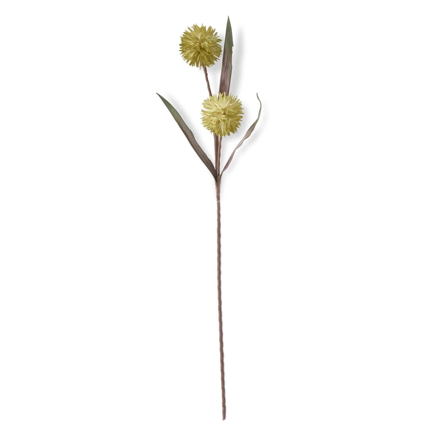 38-Inch Green EVA Double Spike Ball Stem