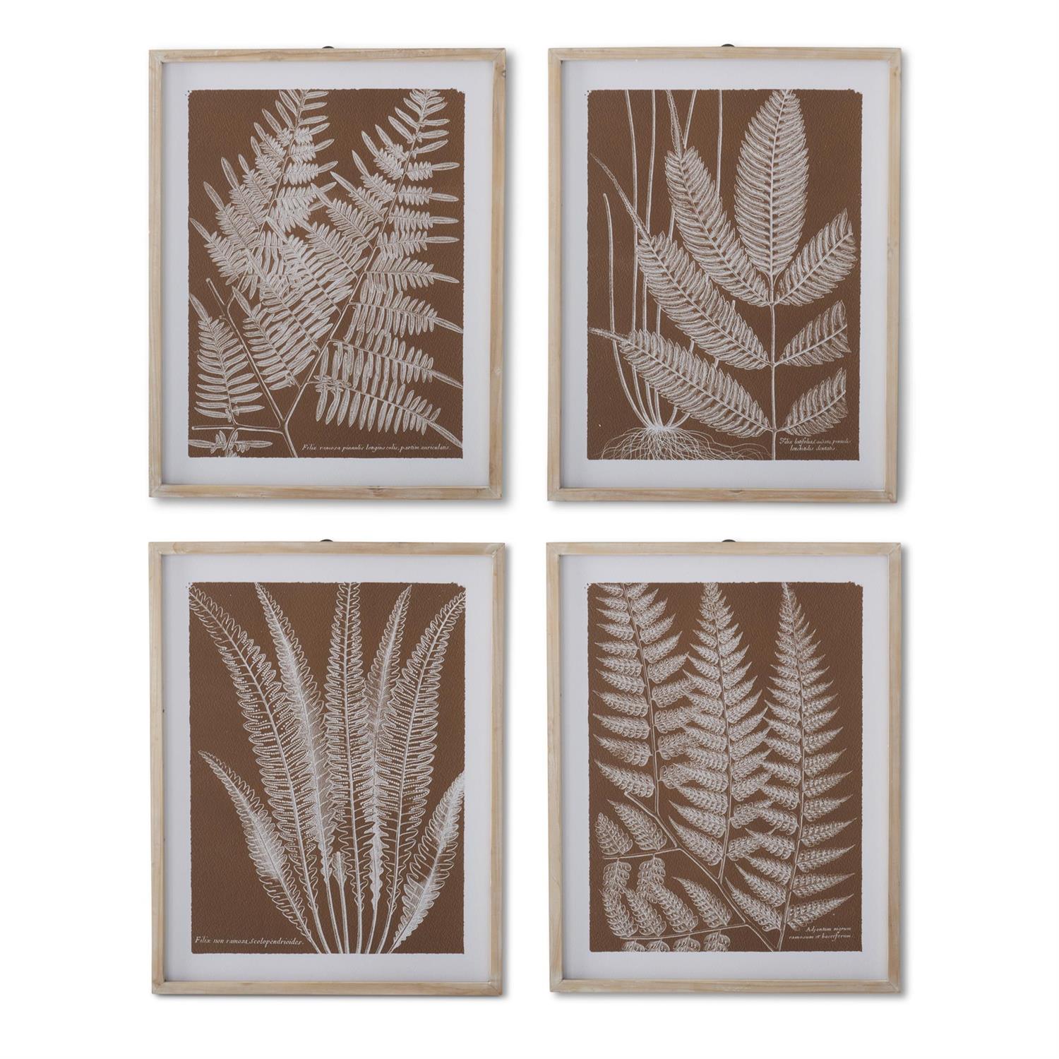 Assorted 27.75-Inch Natural Wood-Framed Brown & White Fern Prints (4 Styles)