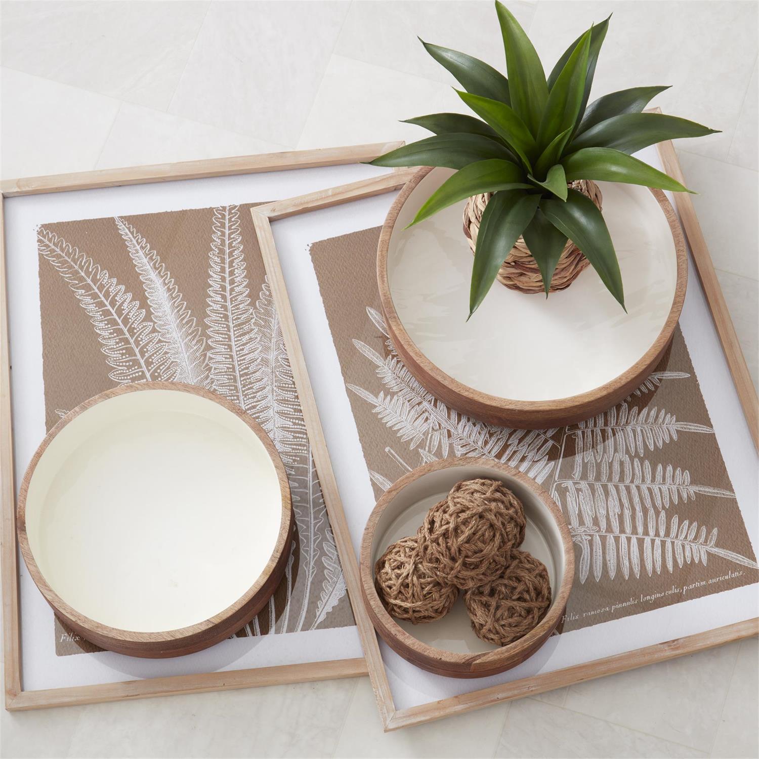 Assorted 27.75-Inch Natural Wood-Framed Brown & White Fern Prints (4 Styles)
