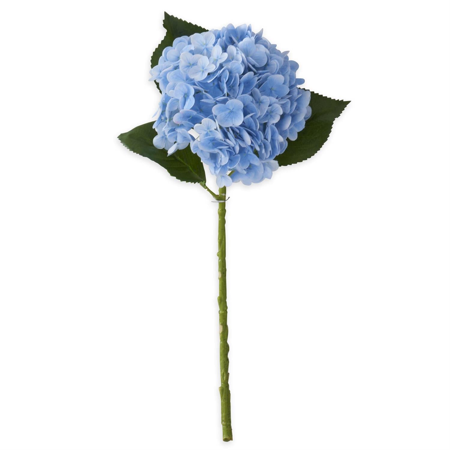 Blue Hydrangea 20 in stem