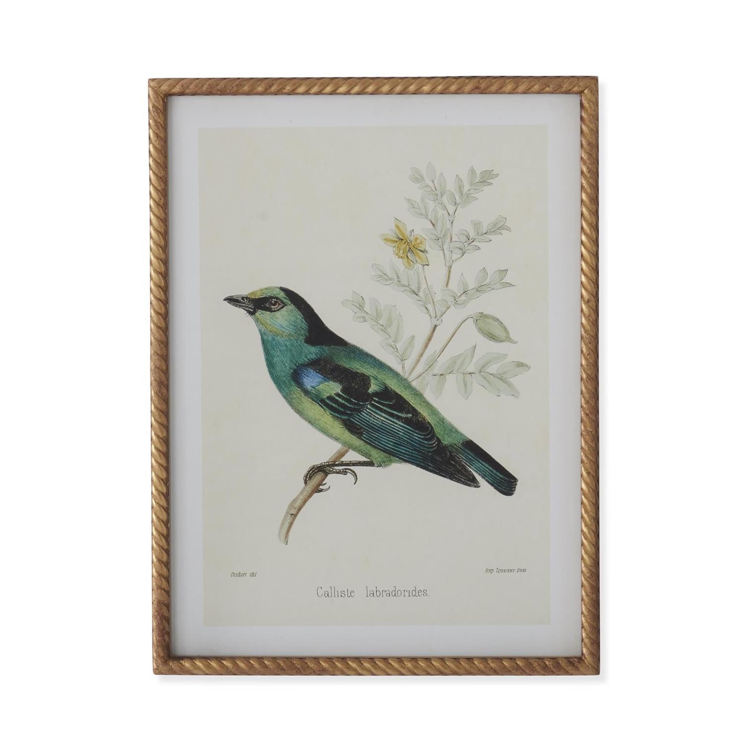 Assorted 23.5-Inch Twisted Gold-Framed Bird Prints (4 Styles)