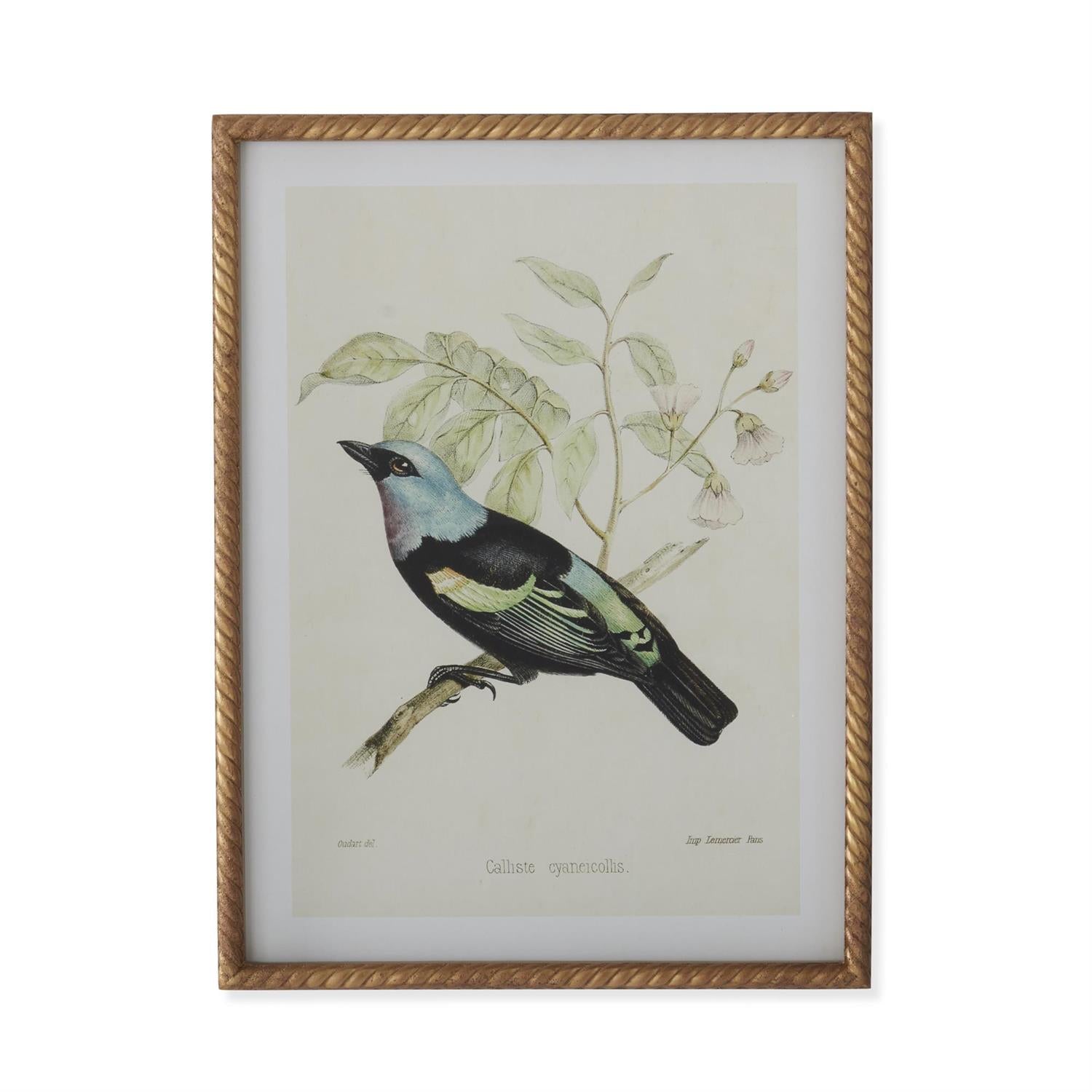 Assorted 23.5-Inch Twisted Gold-Framed Bird Prints (4 Styles)
