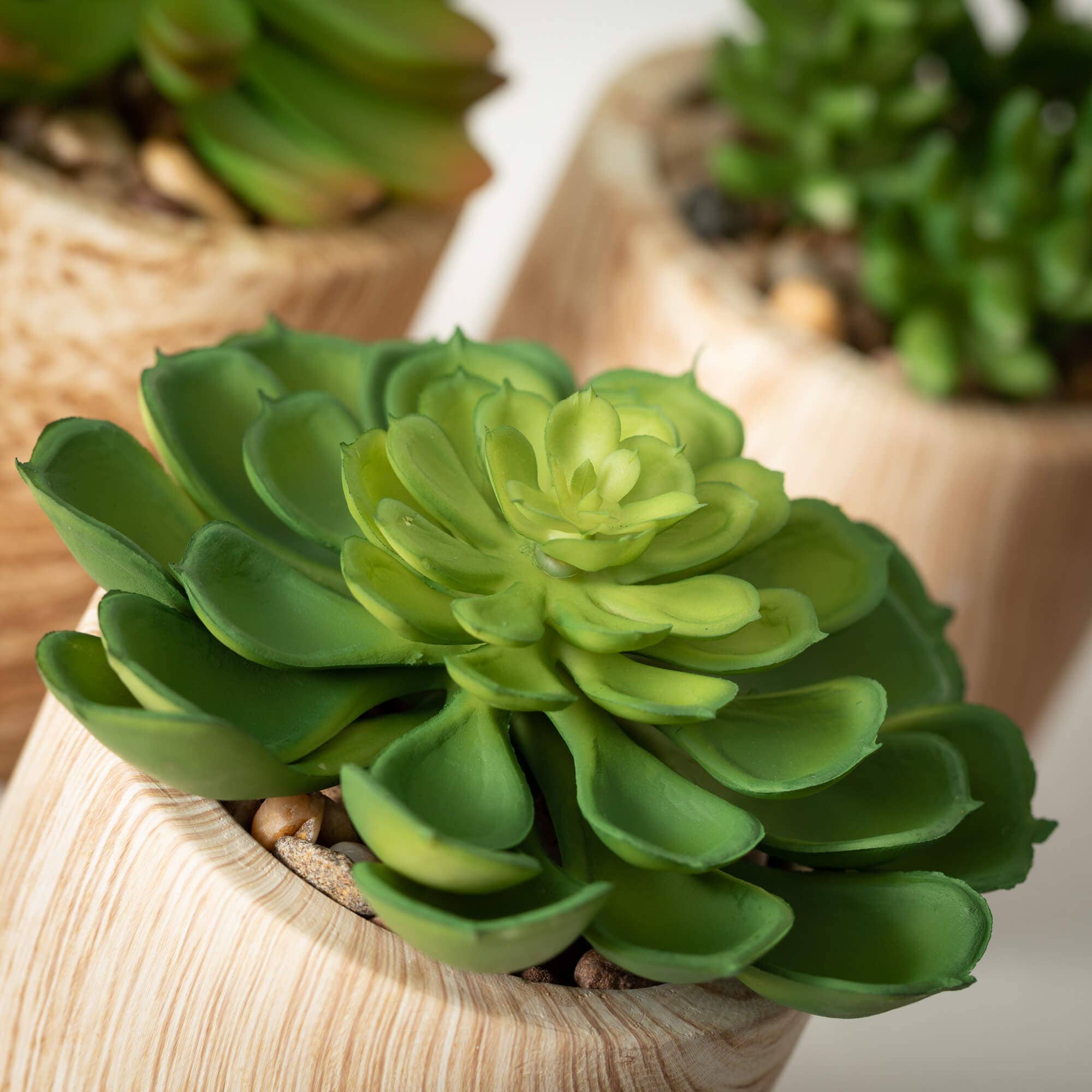 Wooden Potted Succulents