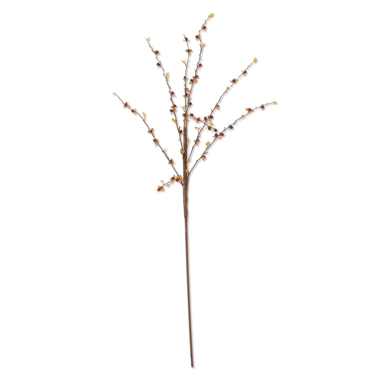 35 Inch Dark Orange Bittersweet Stem