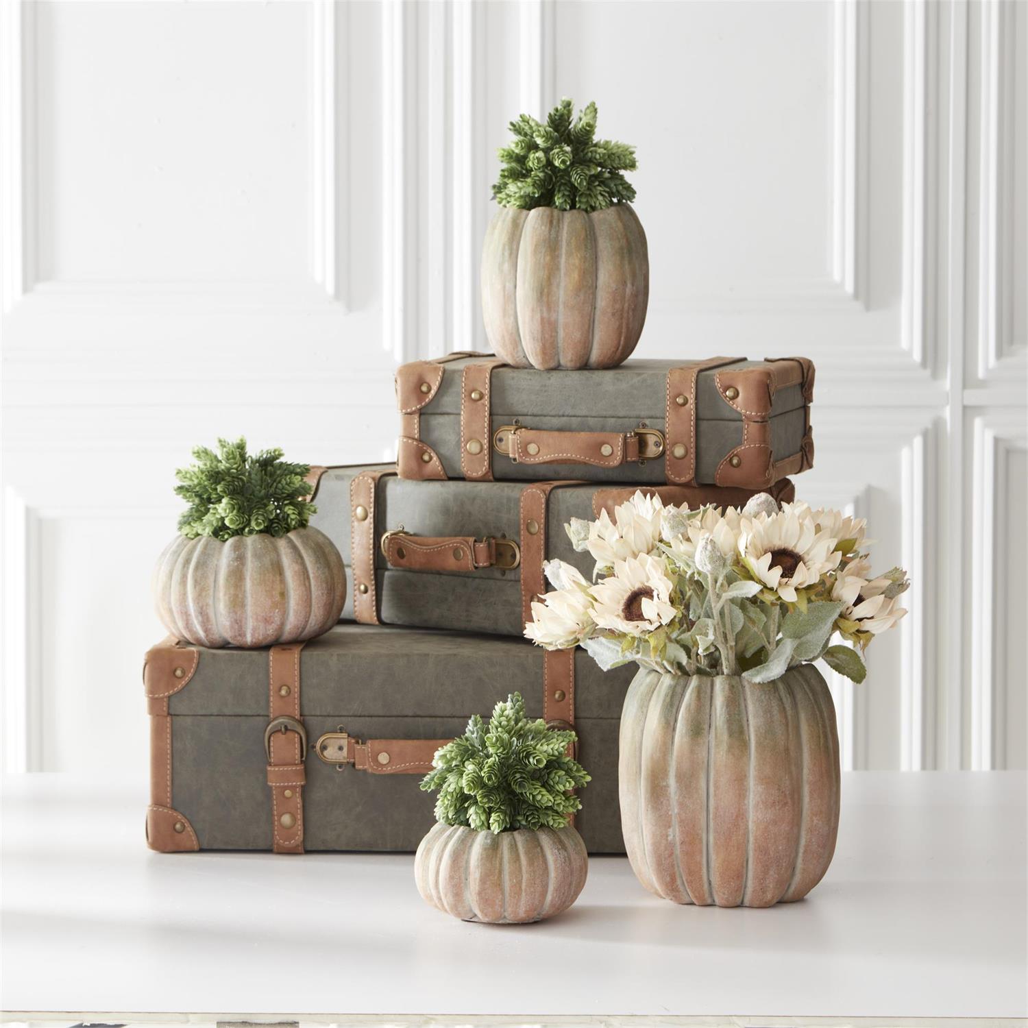 Round Whitewashed Orange and Green Pumpkins