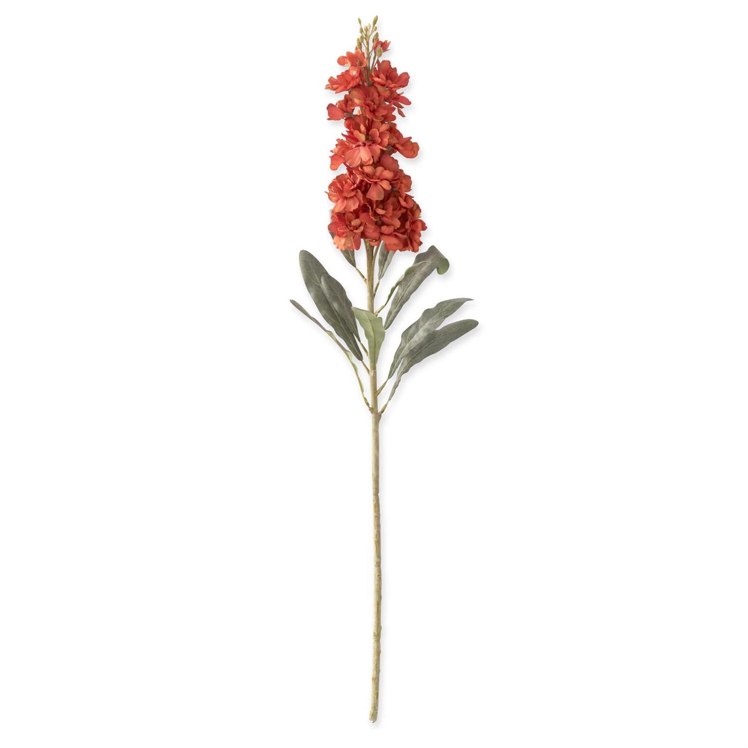 31.5-Inch Orange Delphinium Stem