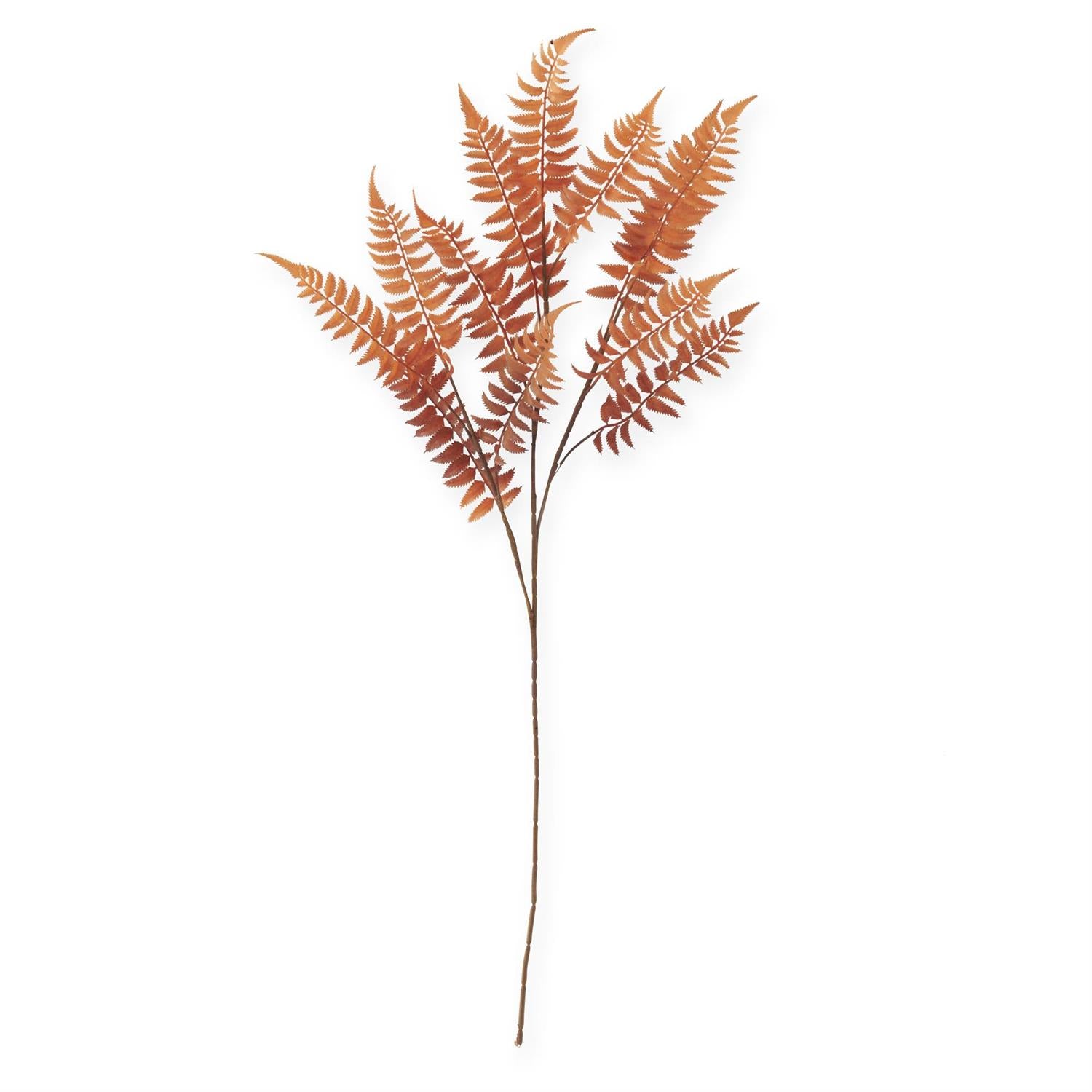 39-Inch Orange with Brown Speckles Lady Fern Spray