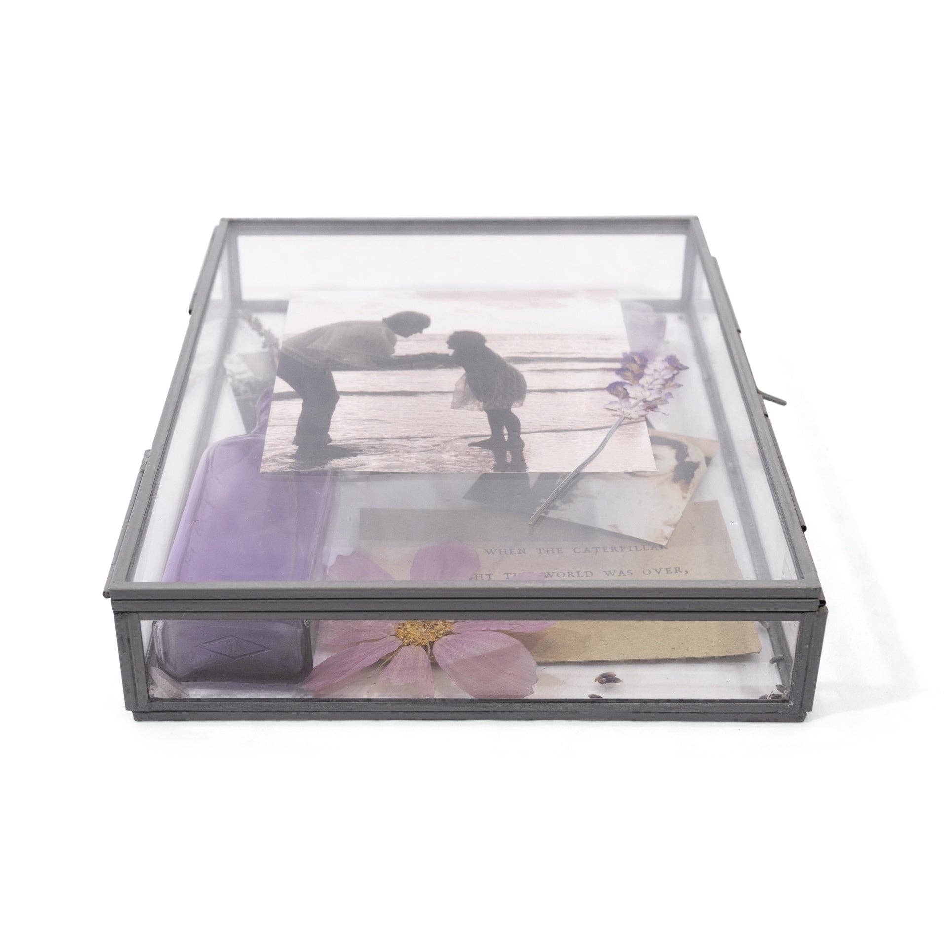 Rectangle Glass and Zinc Memory Box