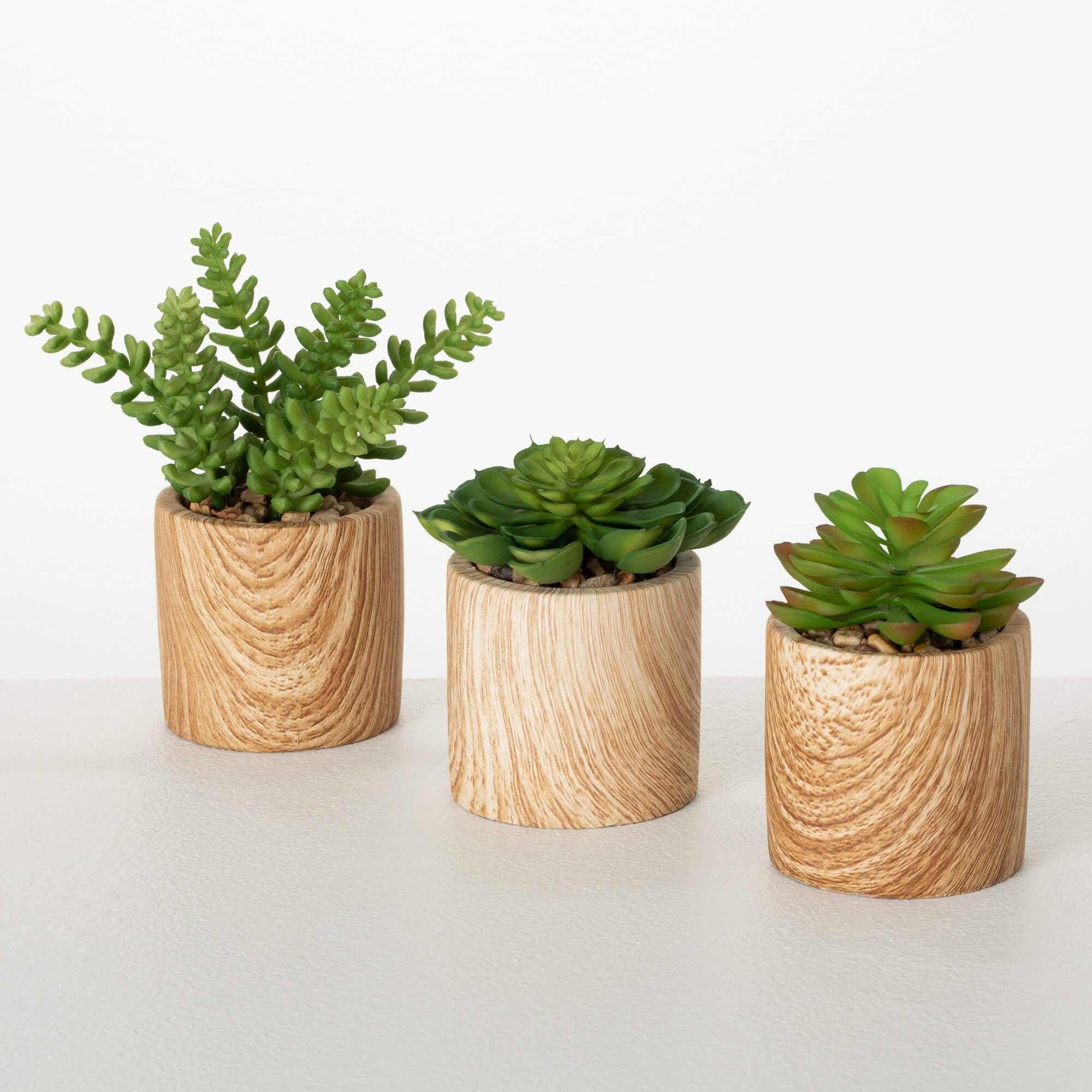 Wooden Potted Succulents