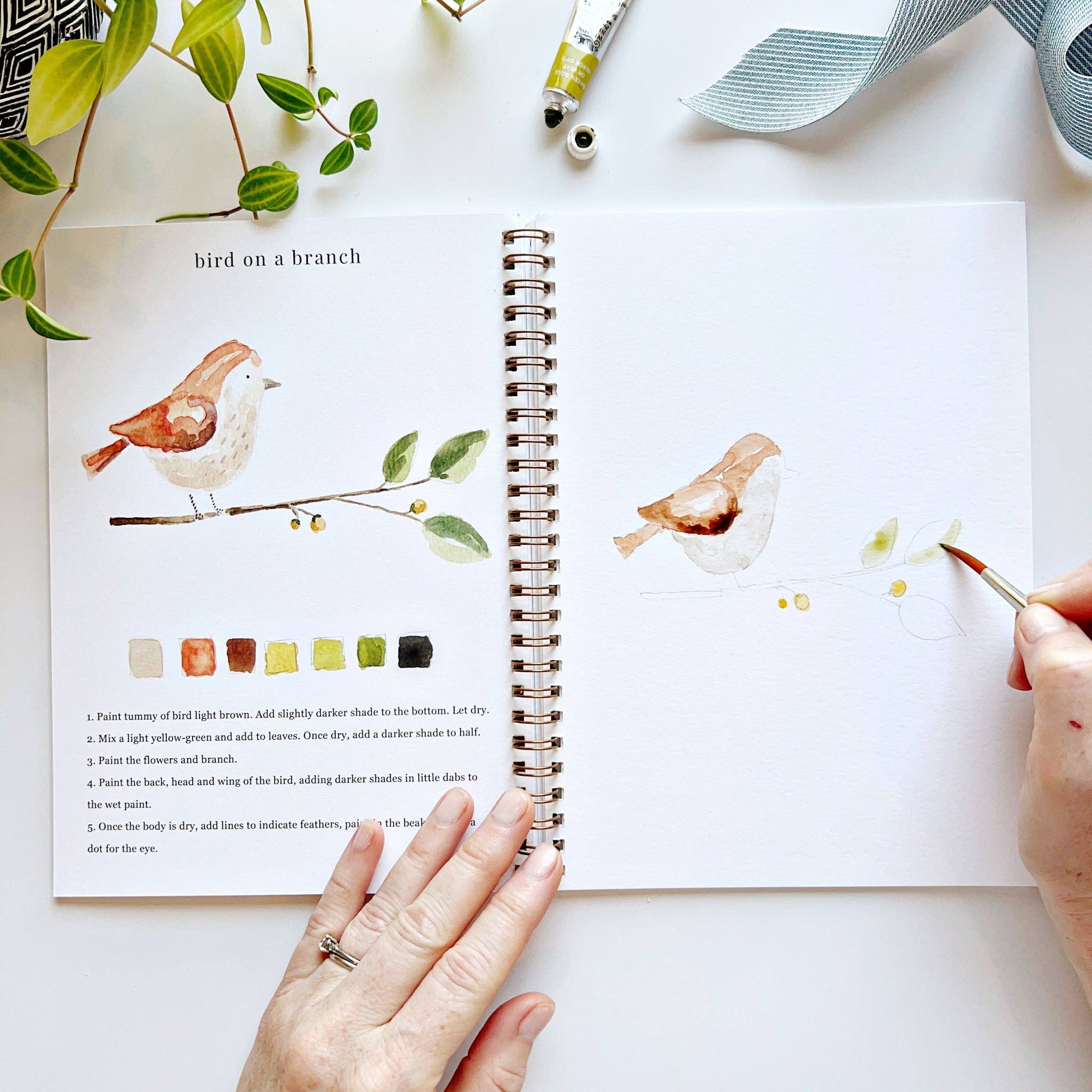 Animal Watercolor Workbook