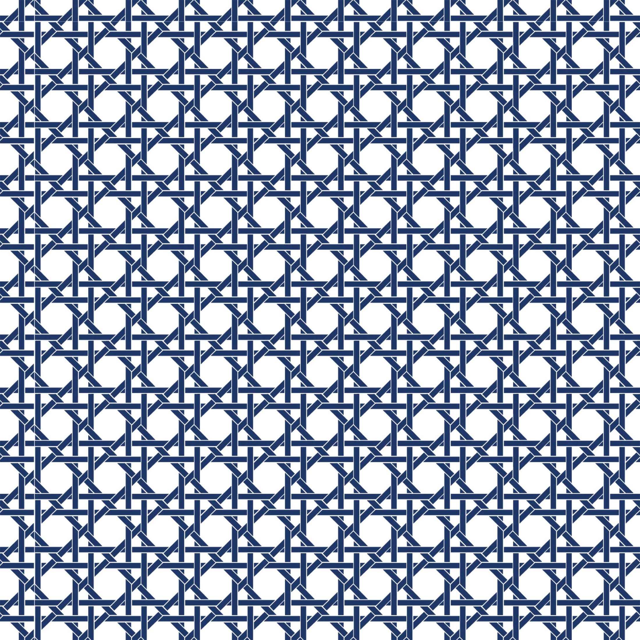 Navy and White Cane – Champagne Collection