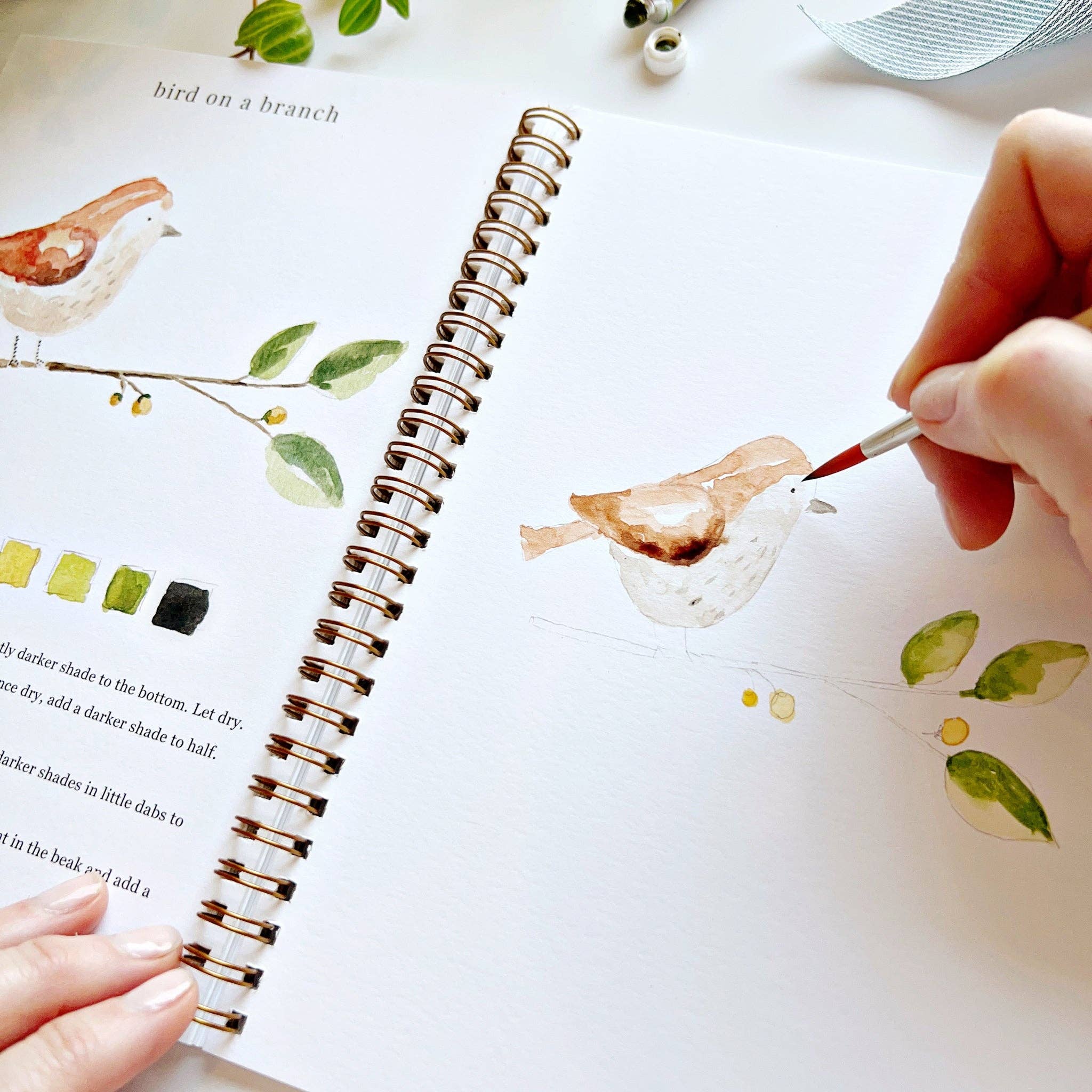 Animal Watercolor Workbook