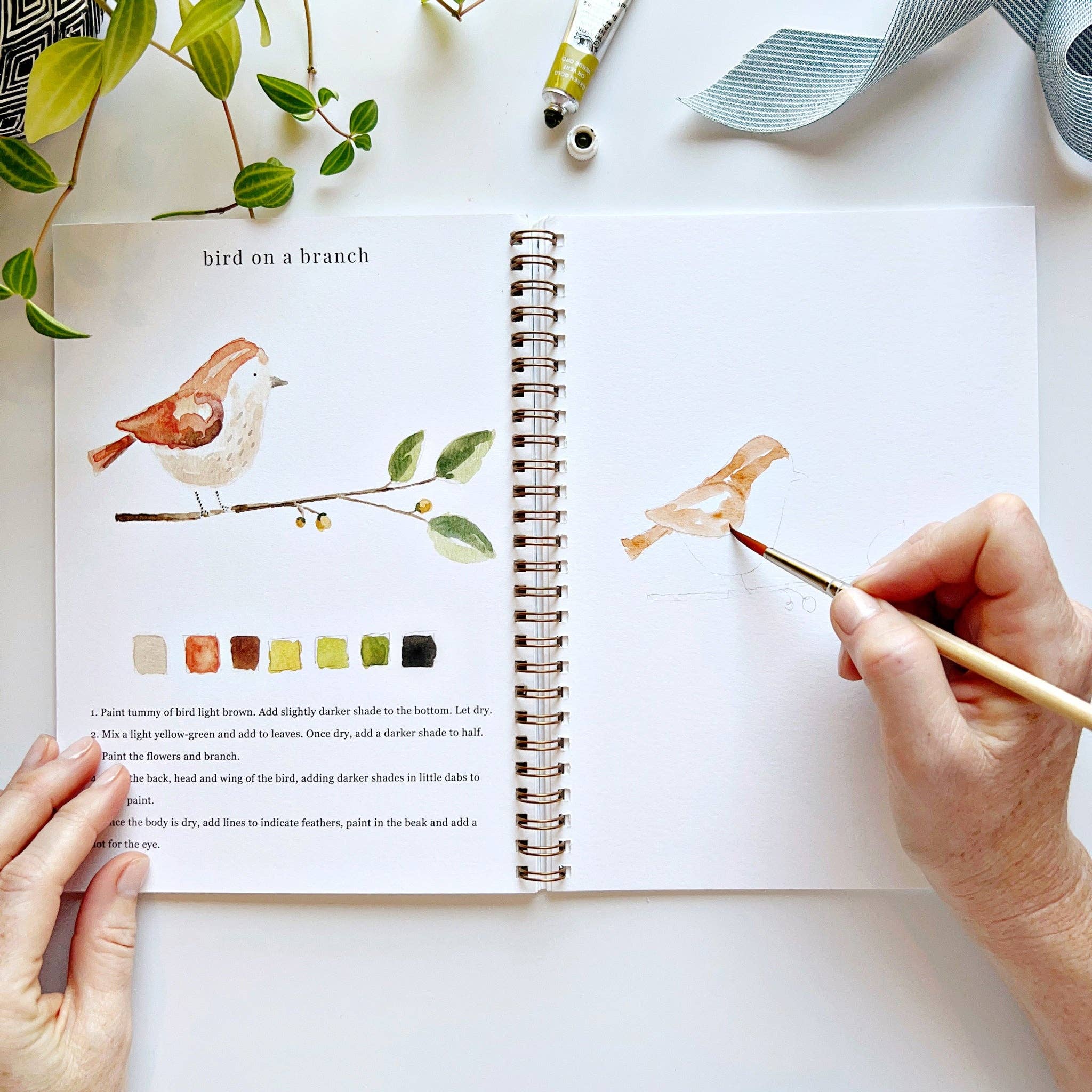 Animal Watercolor Workbook