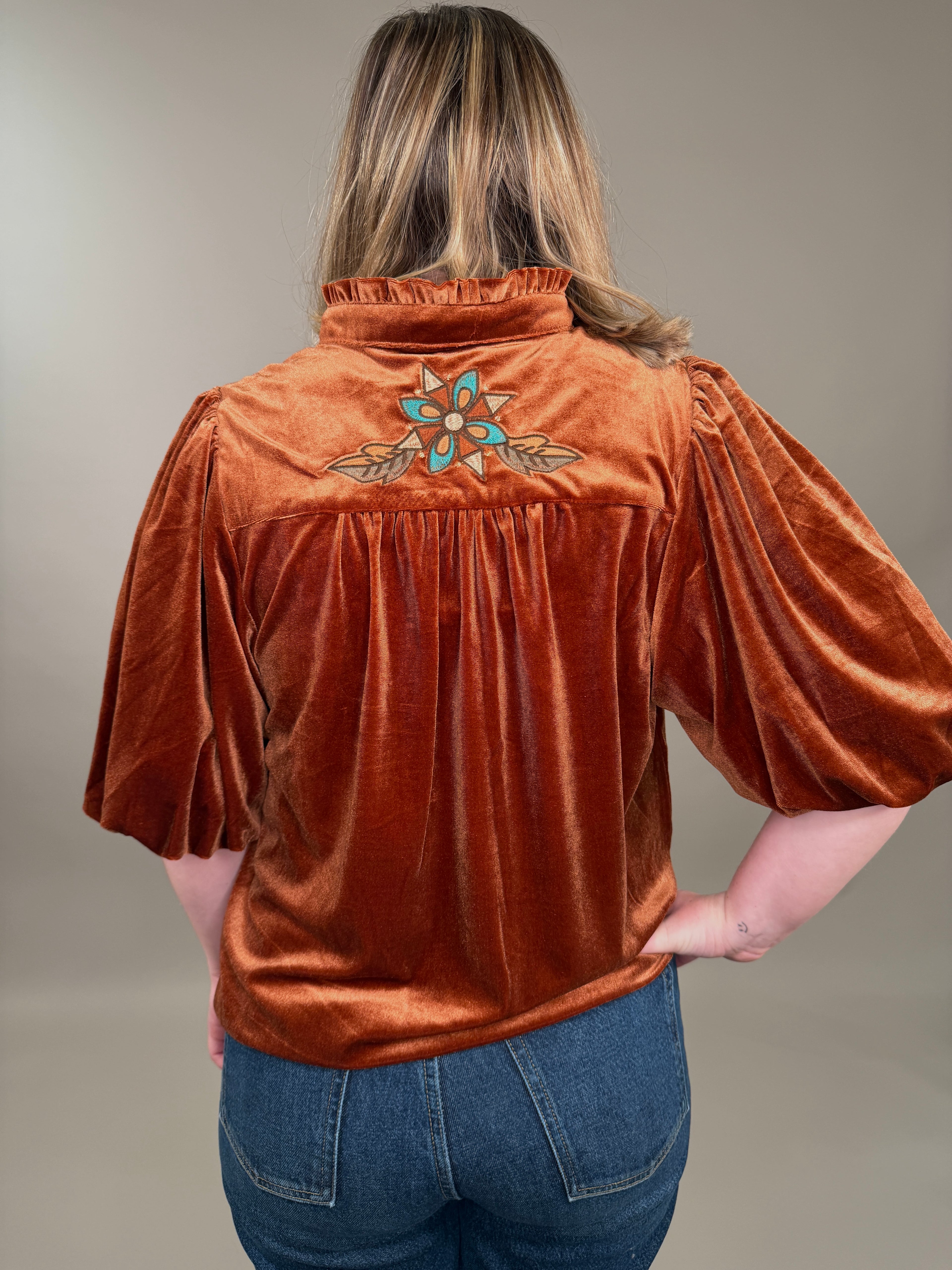 Velvet Embroidery Blouse
