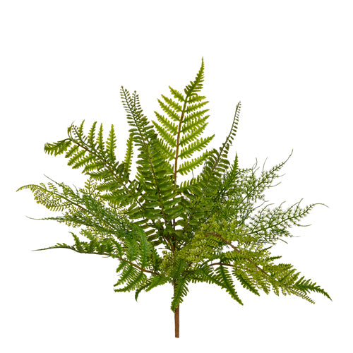 18.5" Fern Bush