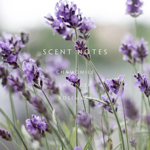 Lavender Rosemary Large 2-wick Candle