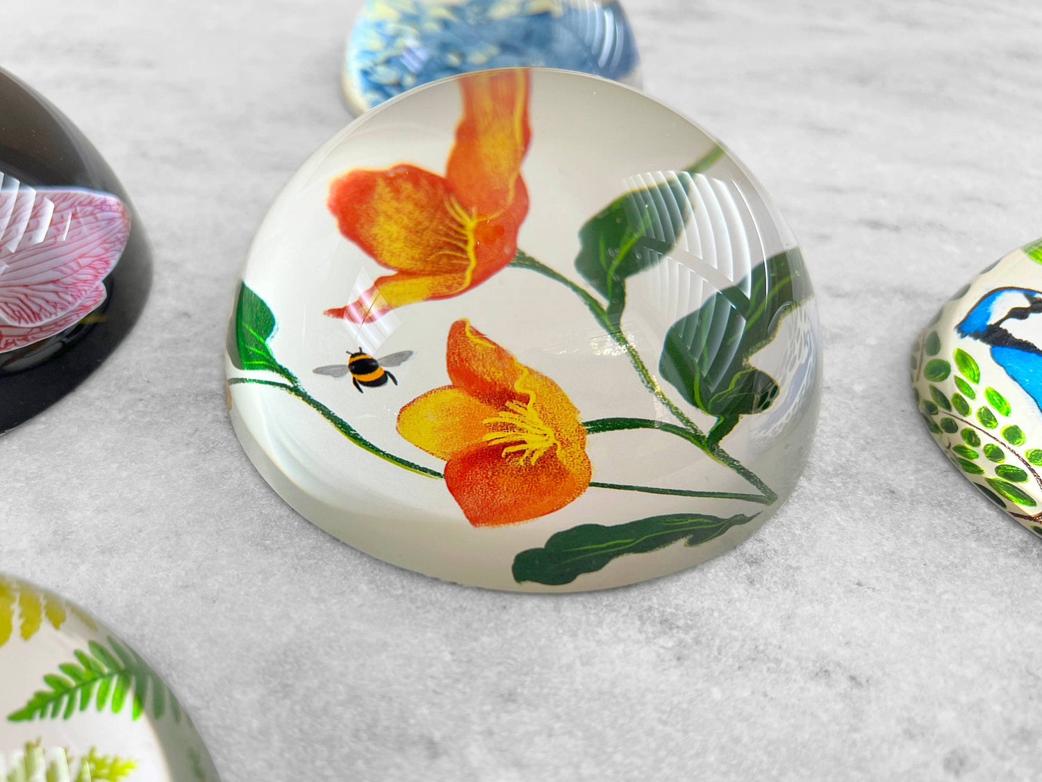 Glass Dome Paperweight