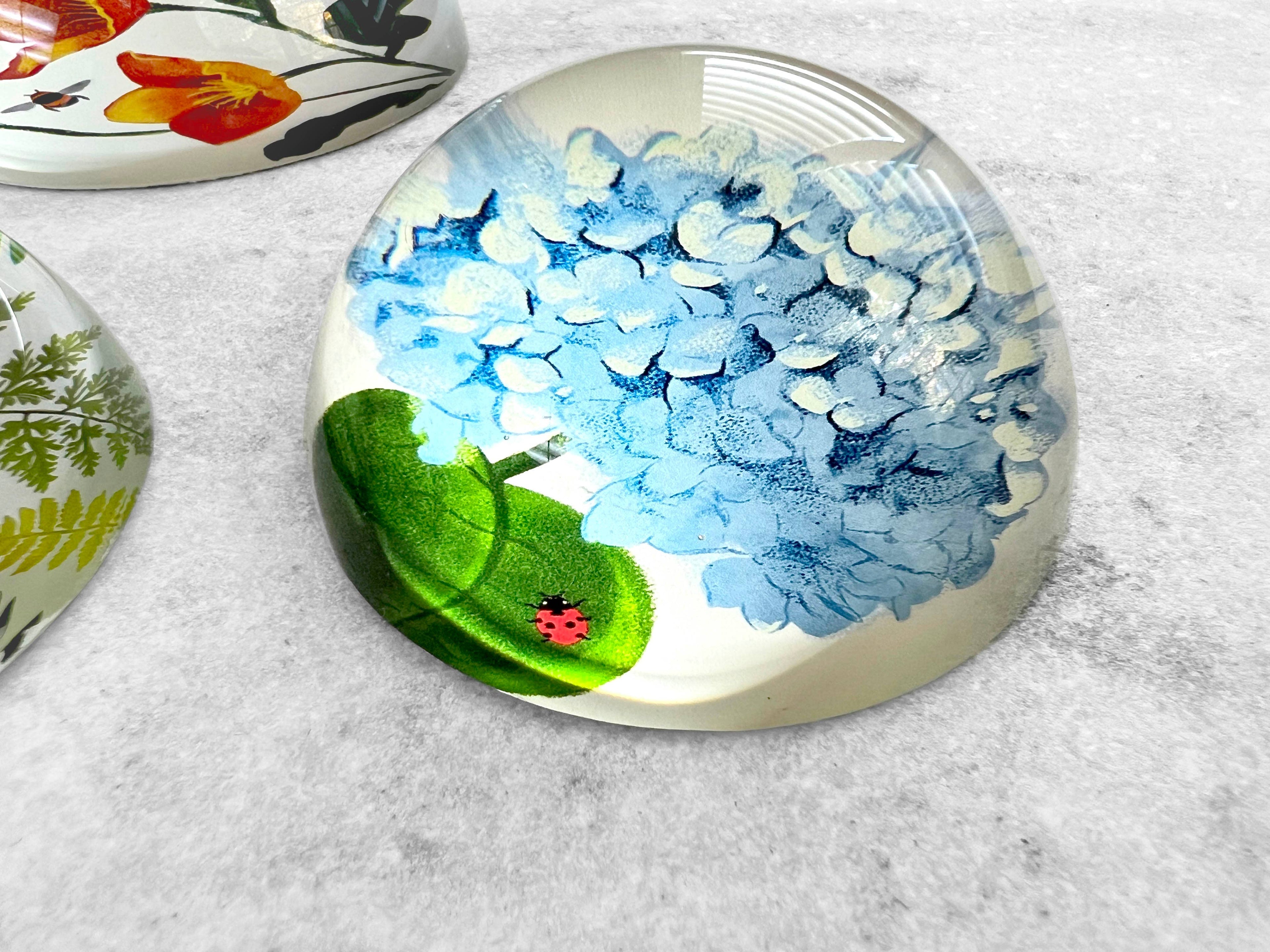 Glass Dome Paperweight