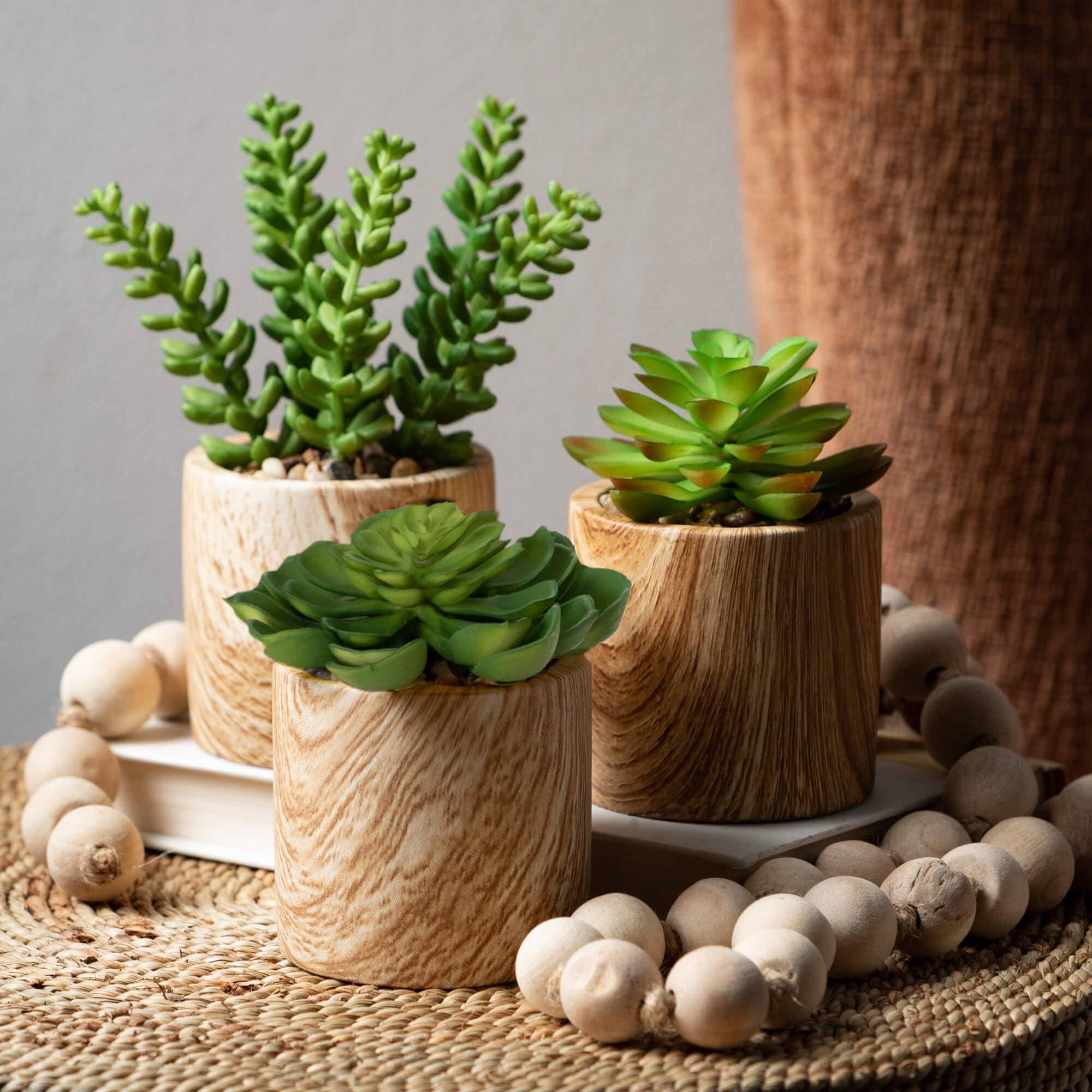 Wooden Potted Succulents