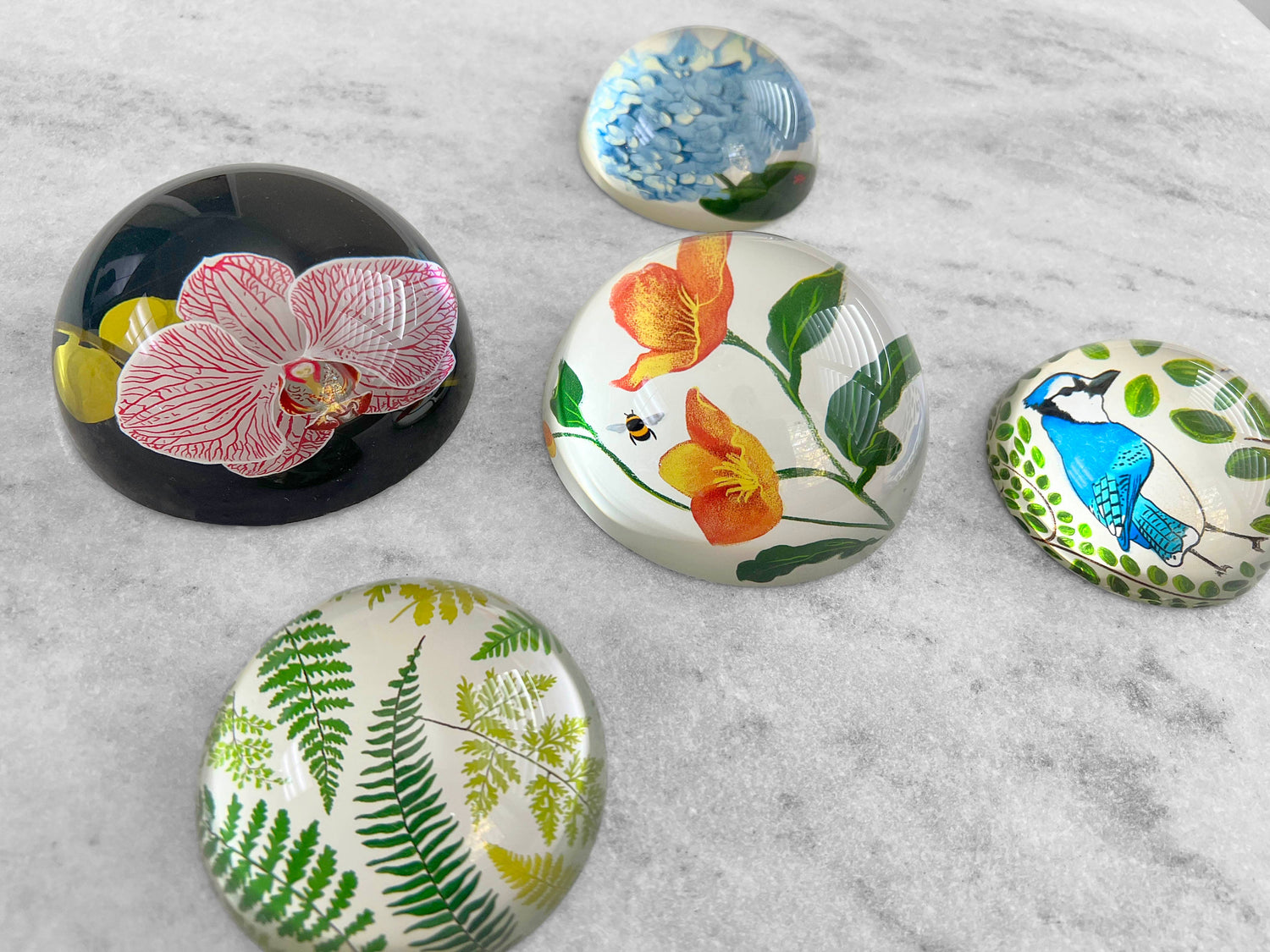 Glass Dome Paperweight