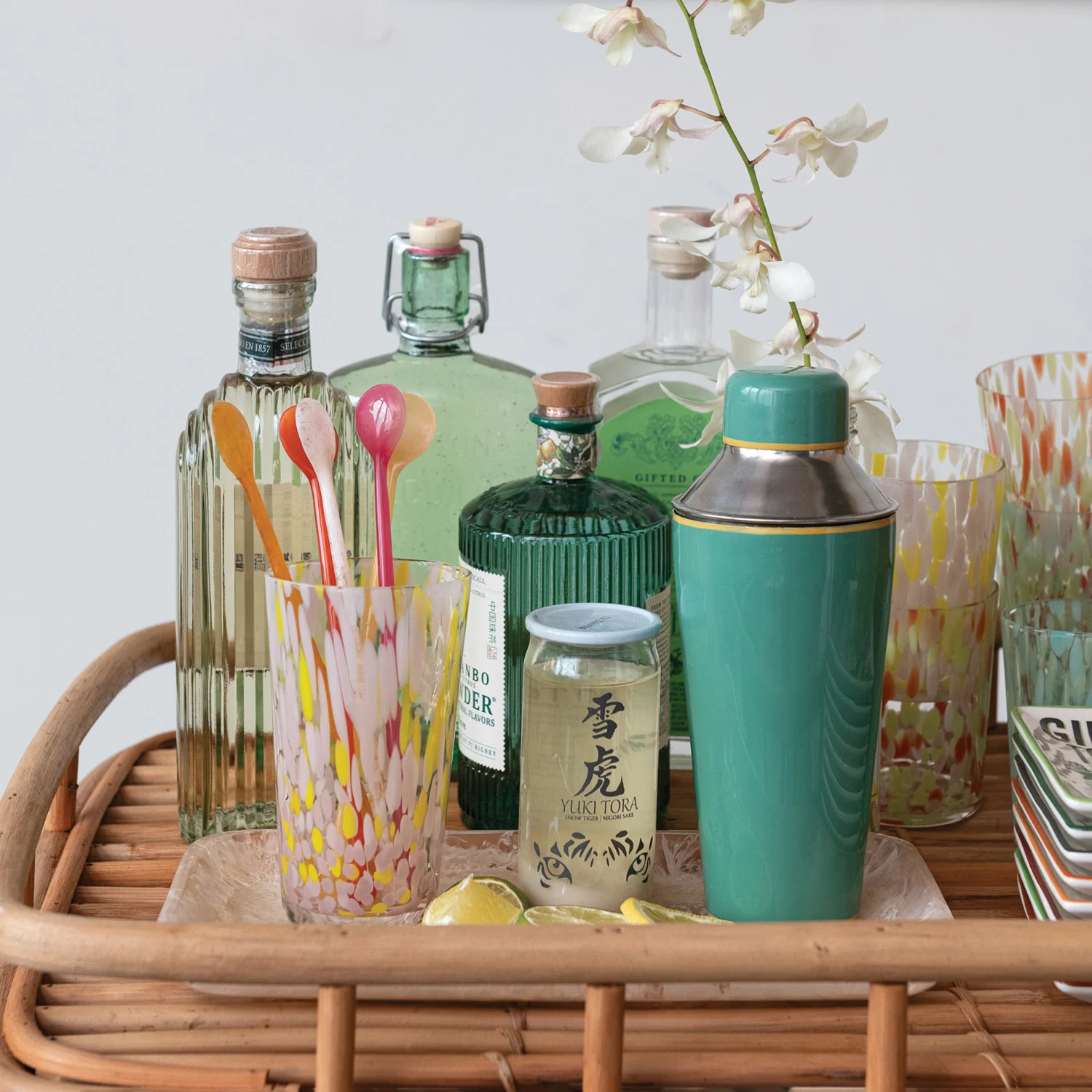 Enameled Stainless Steel Cocktail Shaker w/ Colored Edge