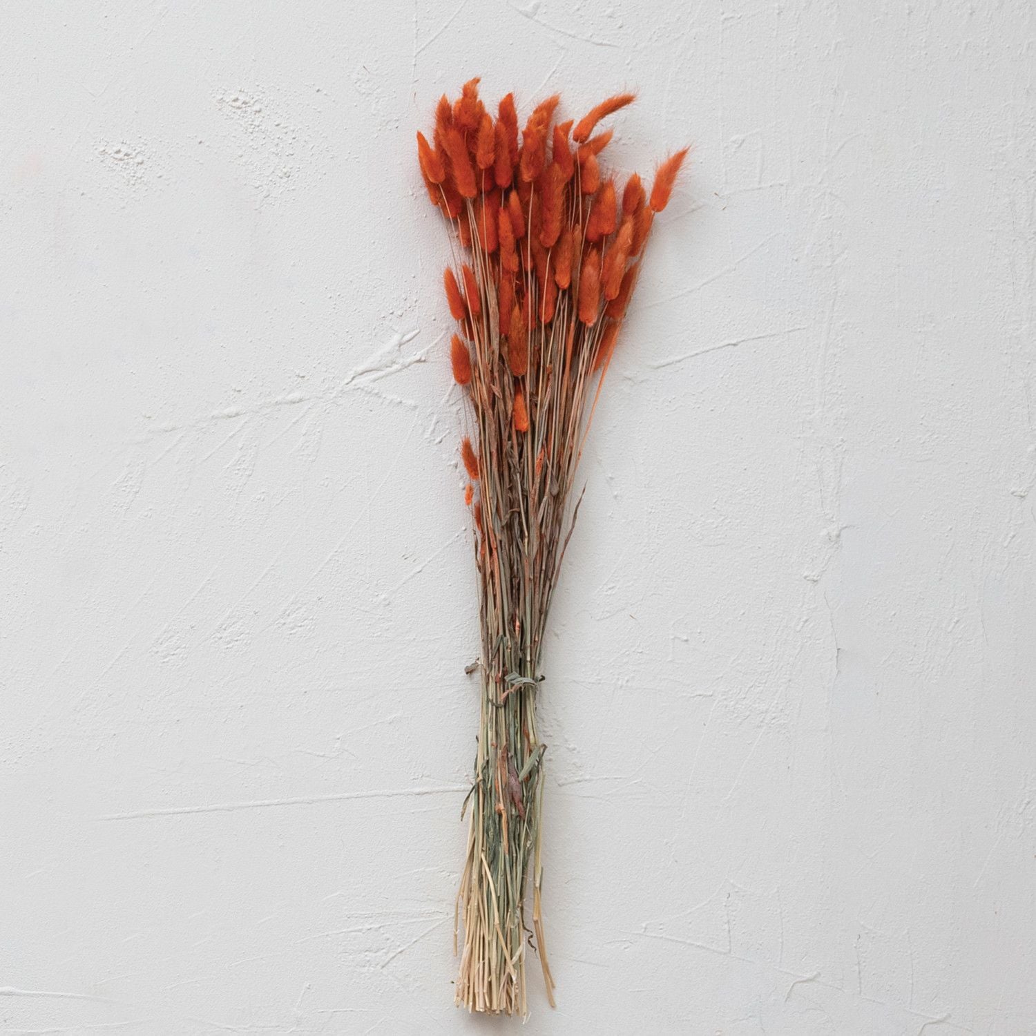 Dried Natural Bunny Tail