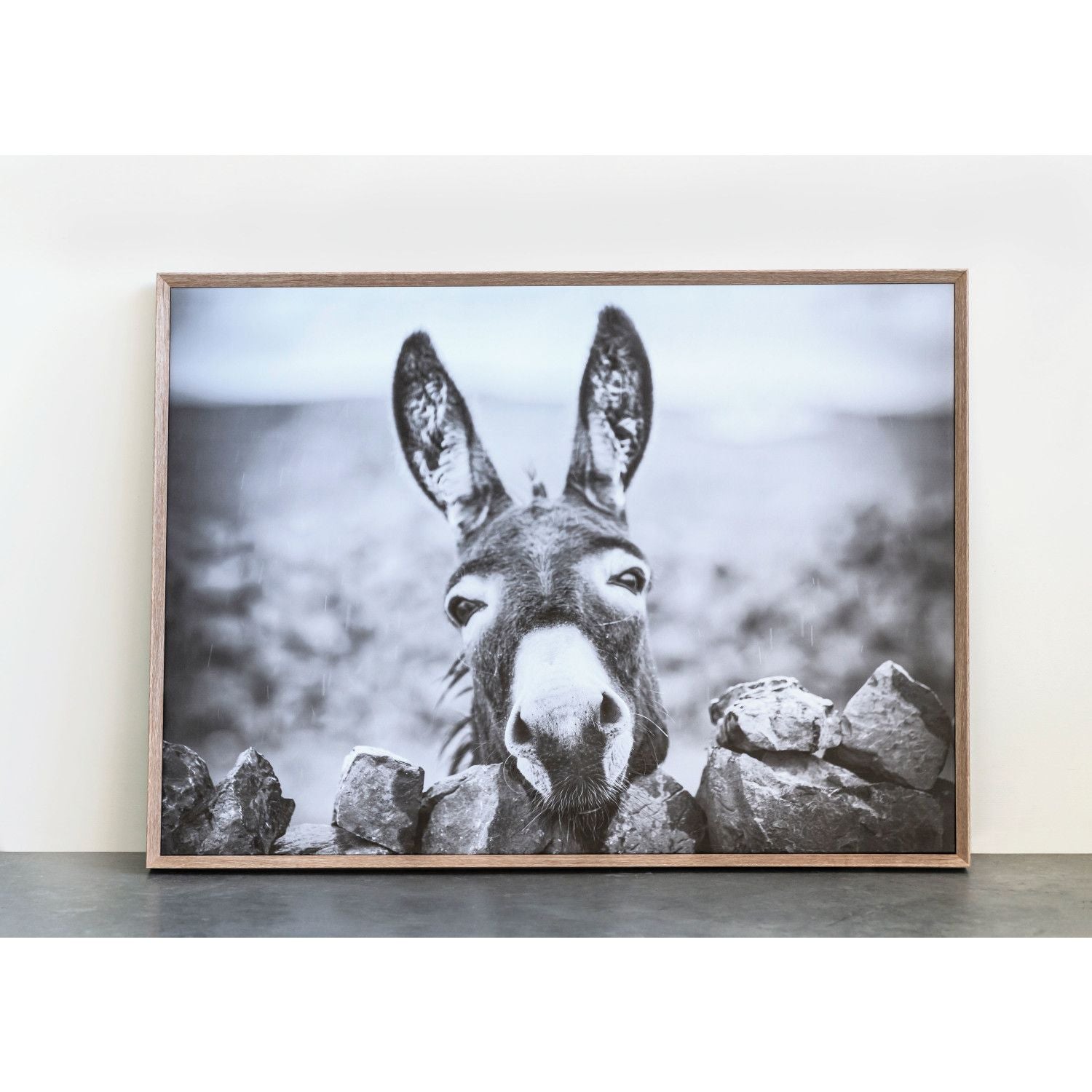 Framed Canvas Donkey Art