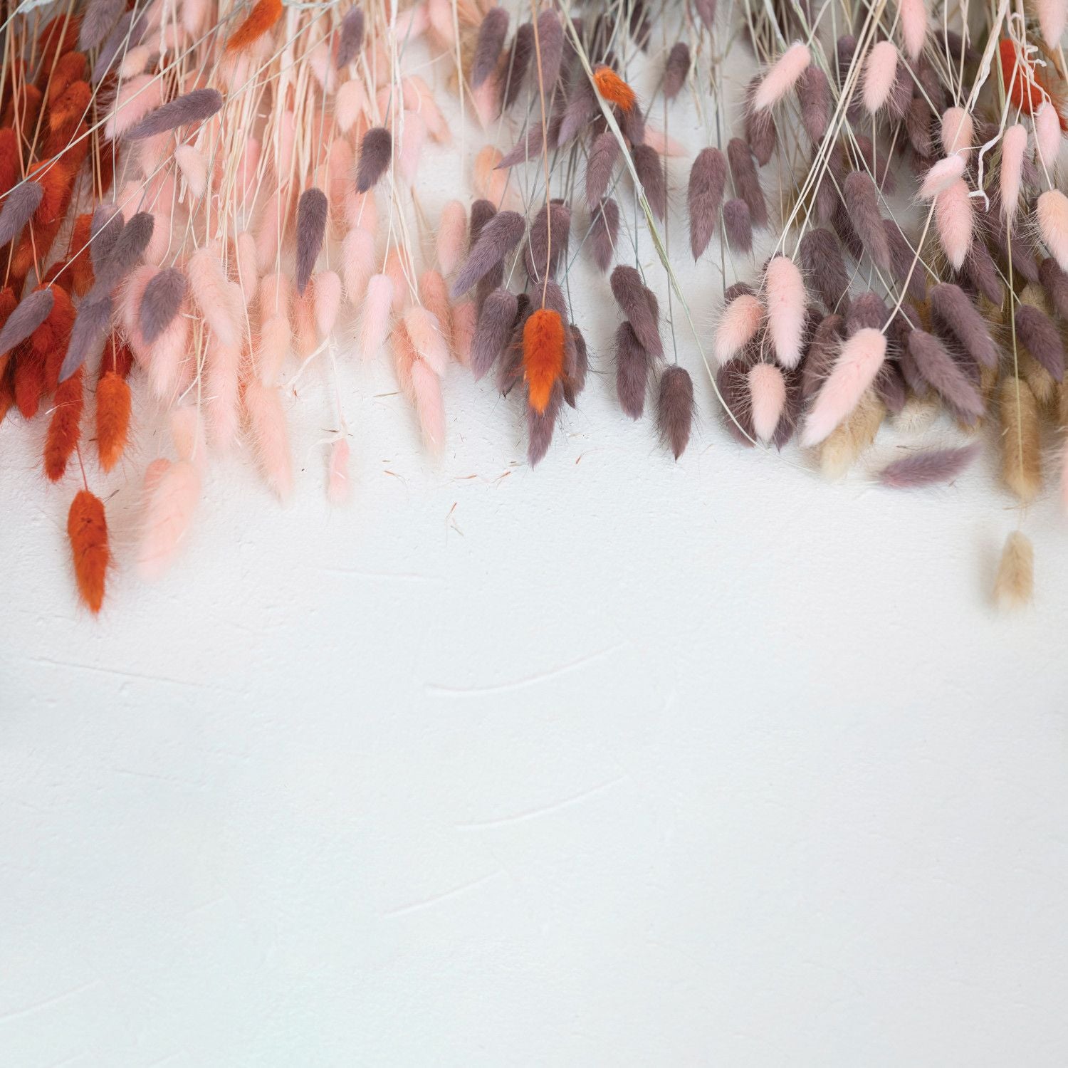 Dried Natural Bunny Tail