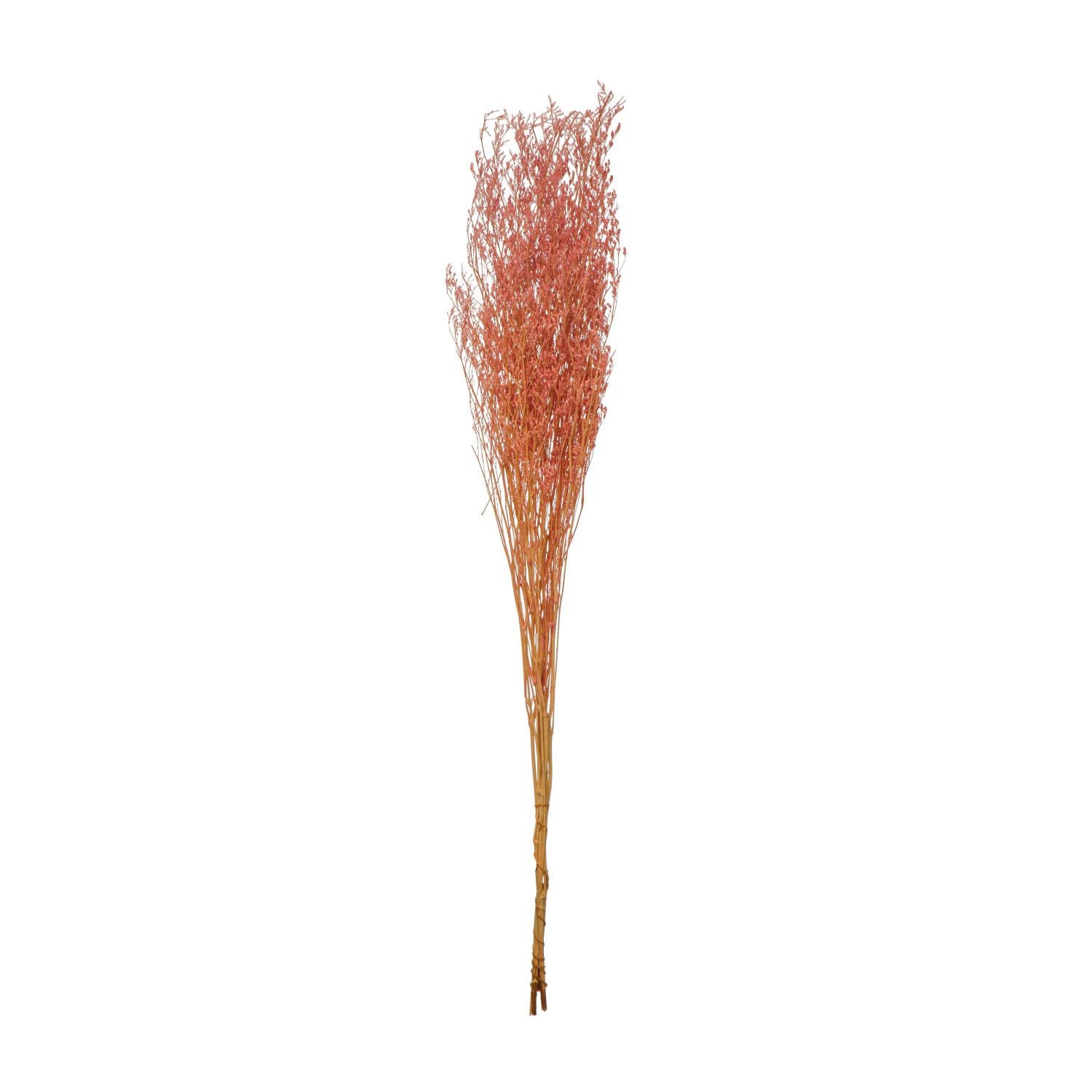Dried Natural Love Grass