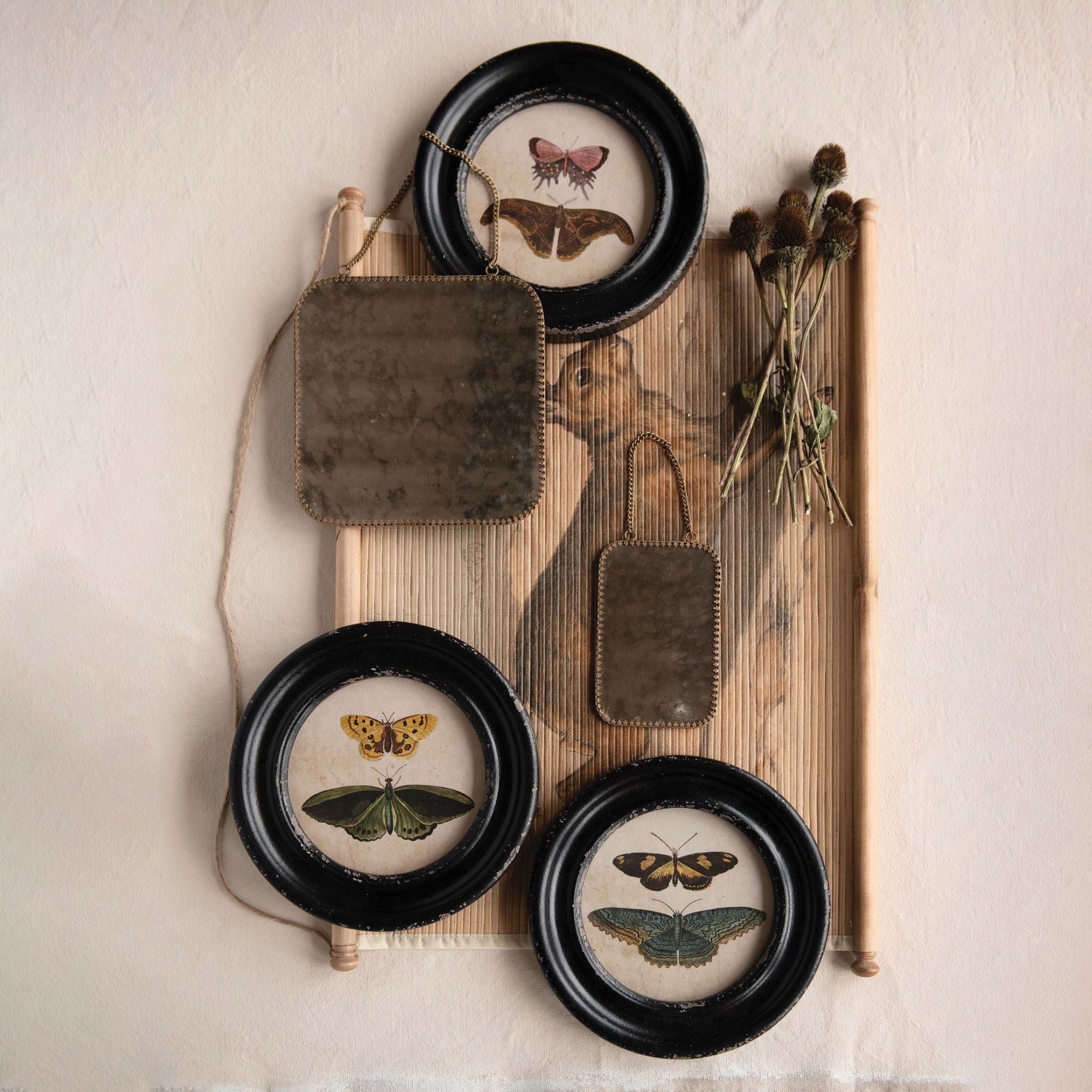 Moths/Butterflies Framed Wall Décor