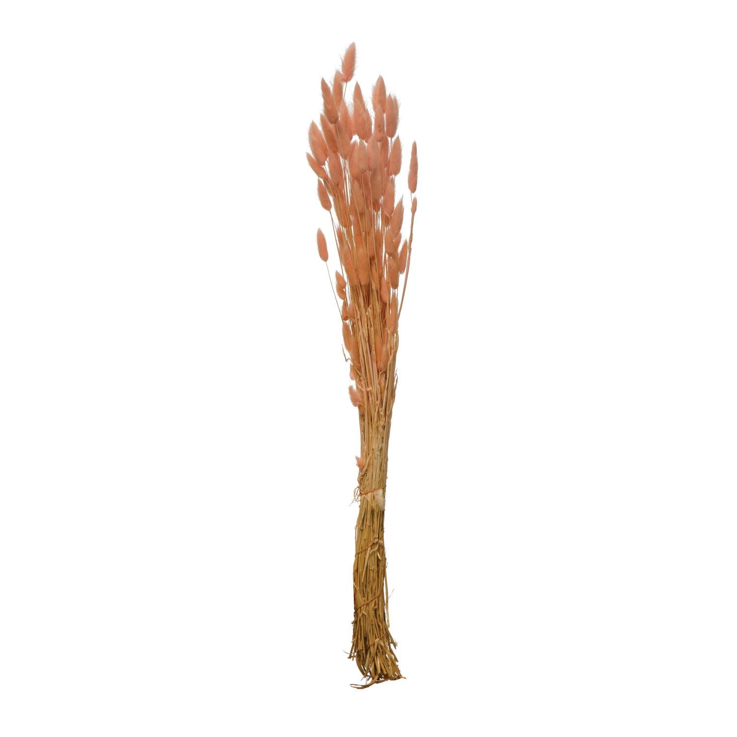 Dried Natural Bunny Tail