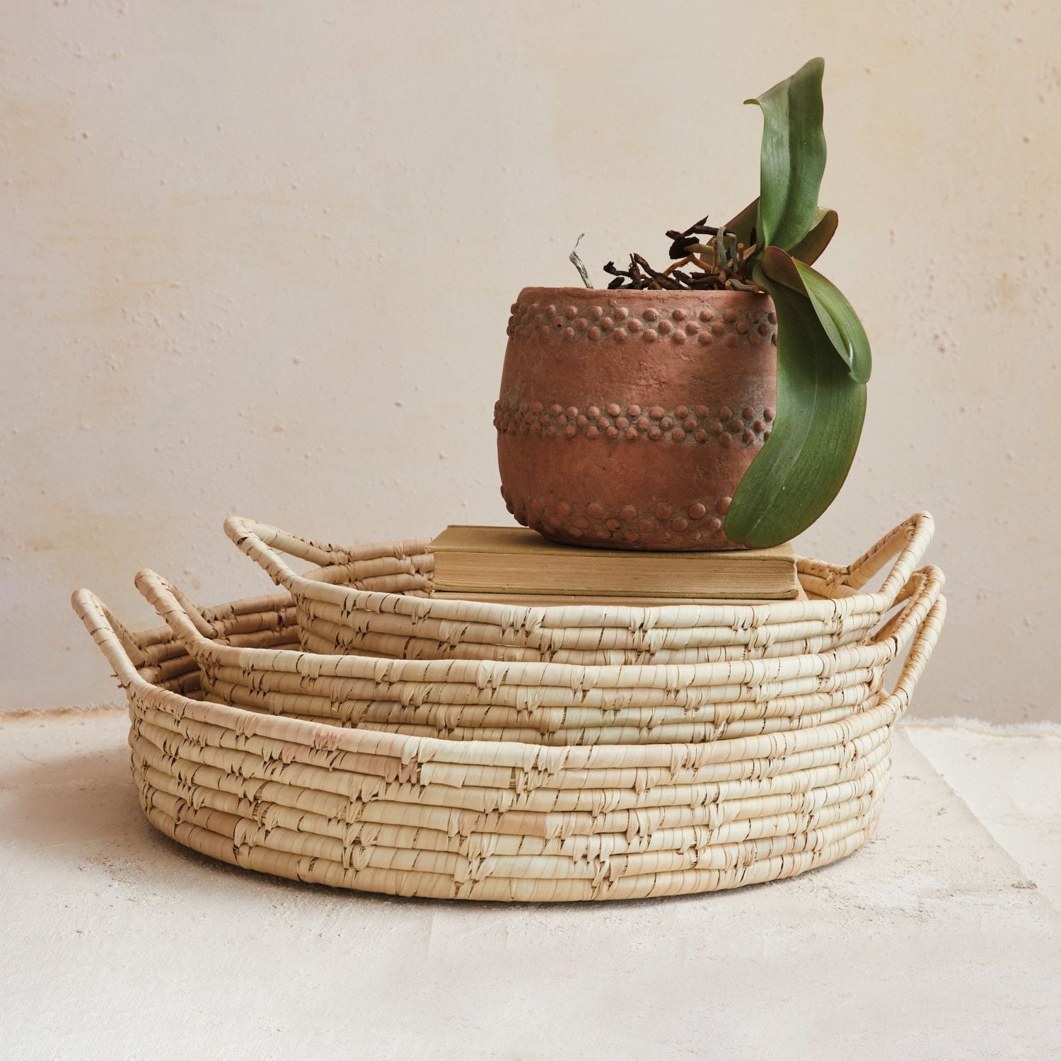 Decorative Baskets with Handles