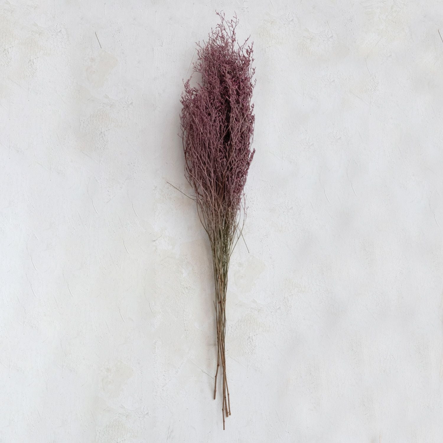 Dried Natural Love Grass