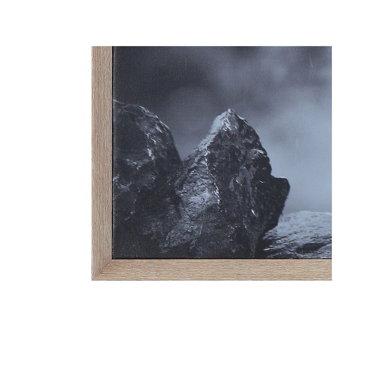 Framed Canvas Donkey Art