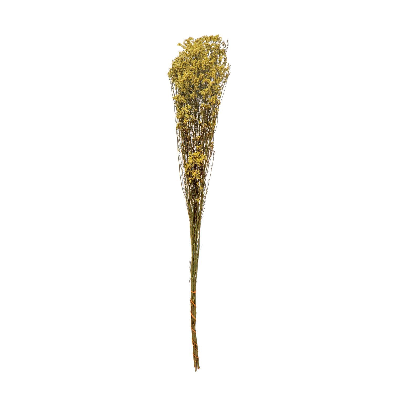 Dried Natural Love Grass