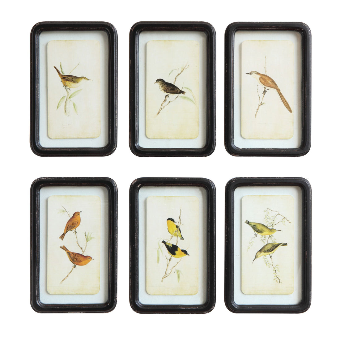 Framed Bird Print