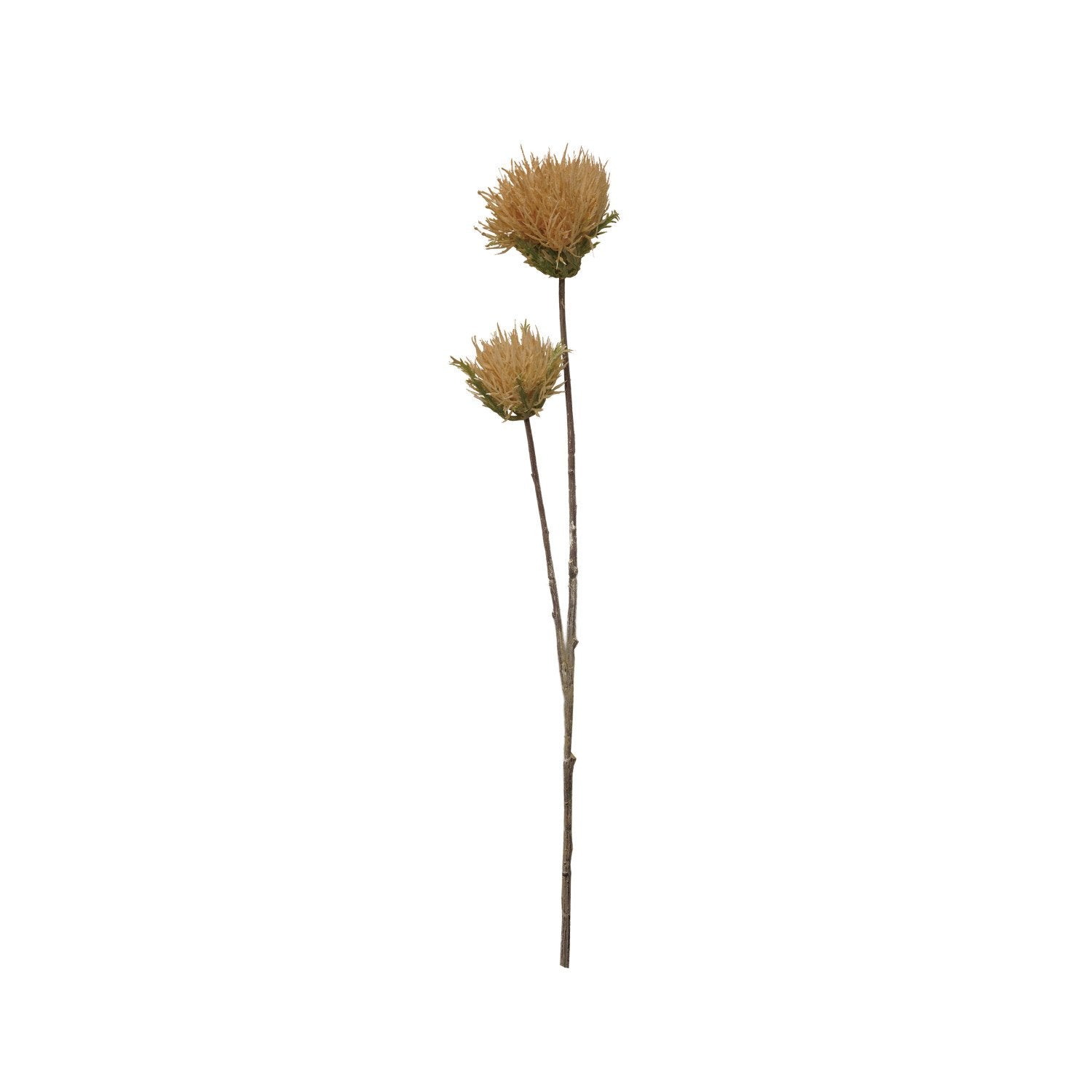 23-1/2"H Faux Thistle Flower Stem, Cream Color