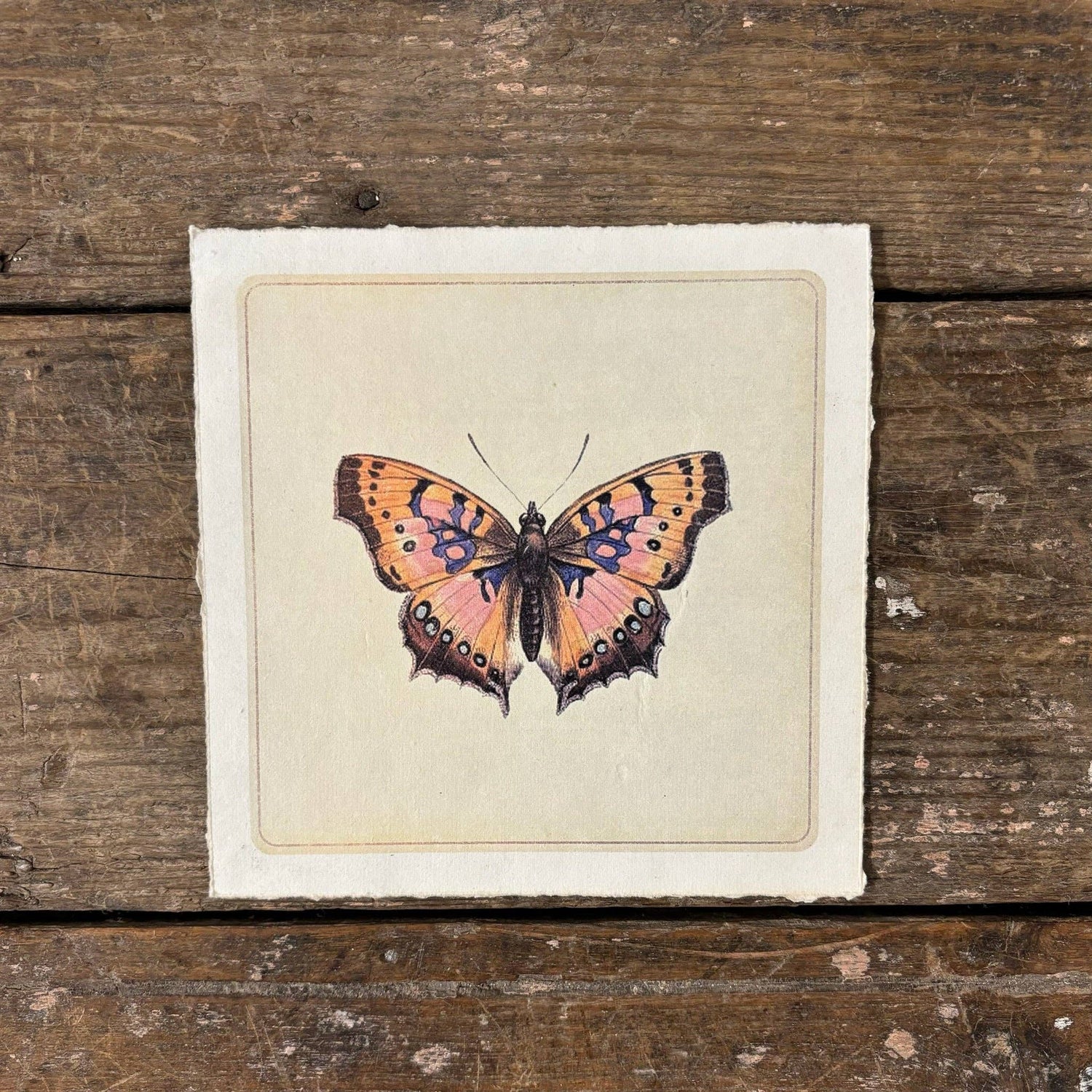 8&quot;x8&quot; Pink Butterfly - Flora &amp; Fauna Collection