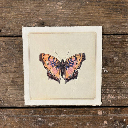 8&quot;x8&quot; Pink Butterfly - Flora &amp; Fauna Collection