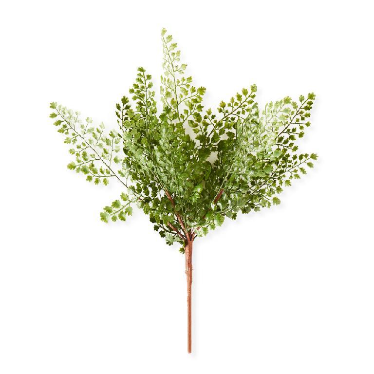 16-Inch Maidenhair Fern Spray Stem