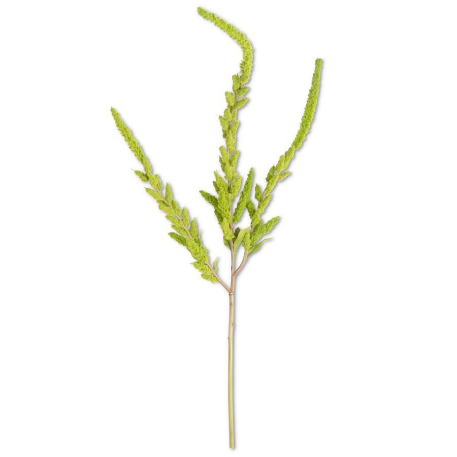 37-Inch Green Amaranthus Stem