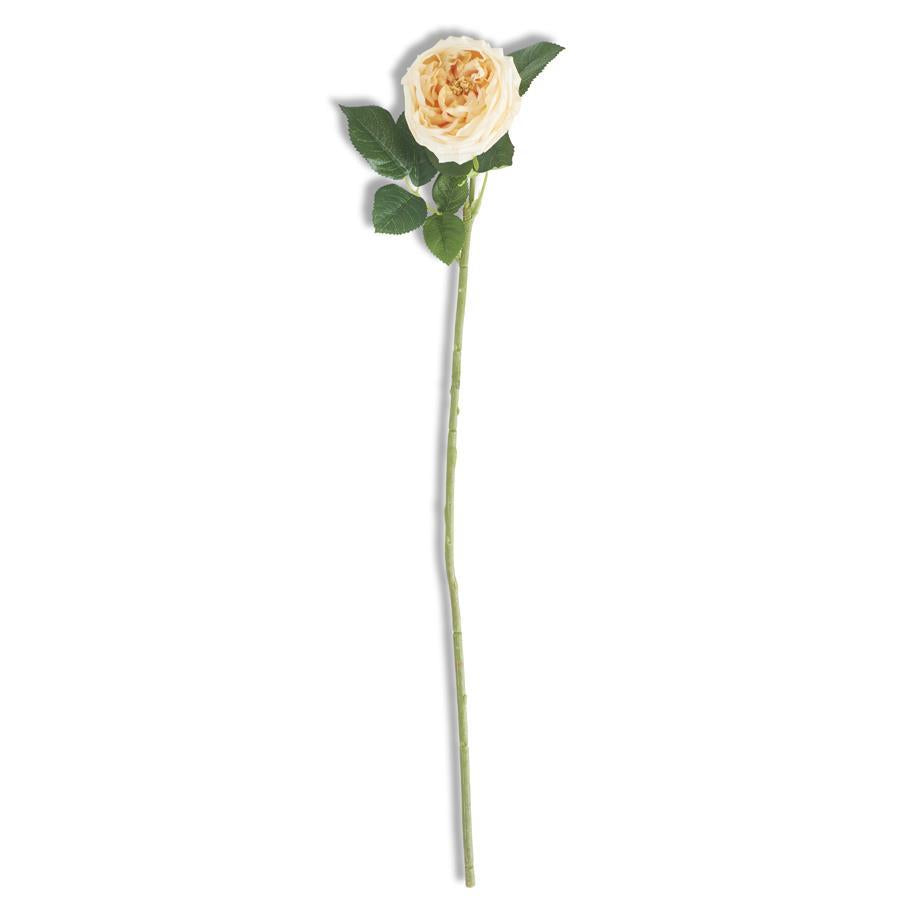 24-Inch Yellow Real Touch Austin Rose Stem